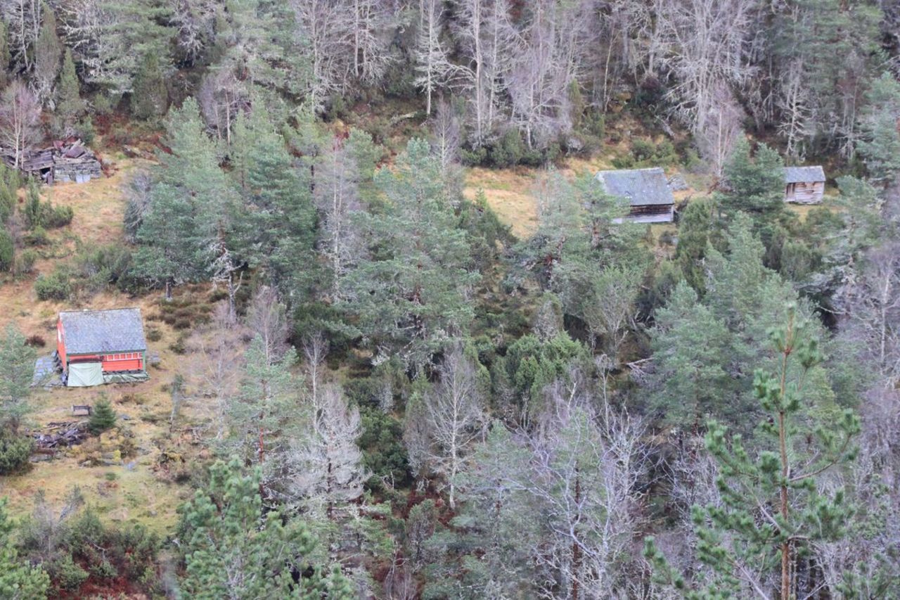 Stølen Klepp, Sveinung Selsvik