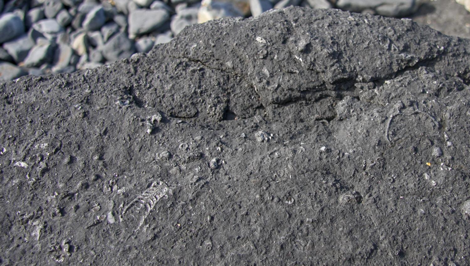 Gea Norvegica Unesco Global Geopark i Bamble