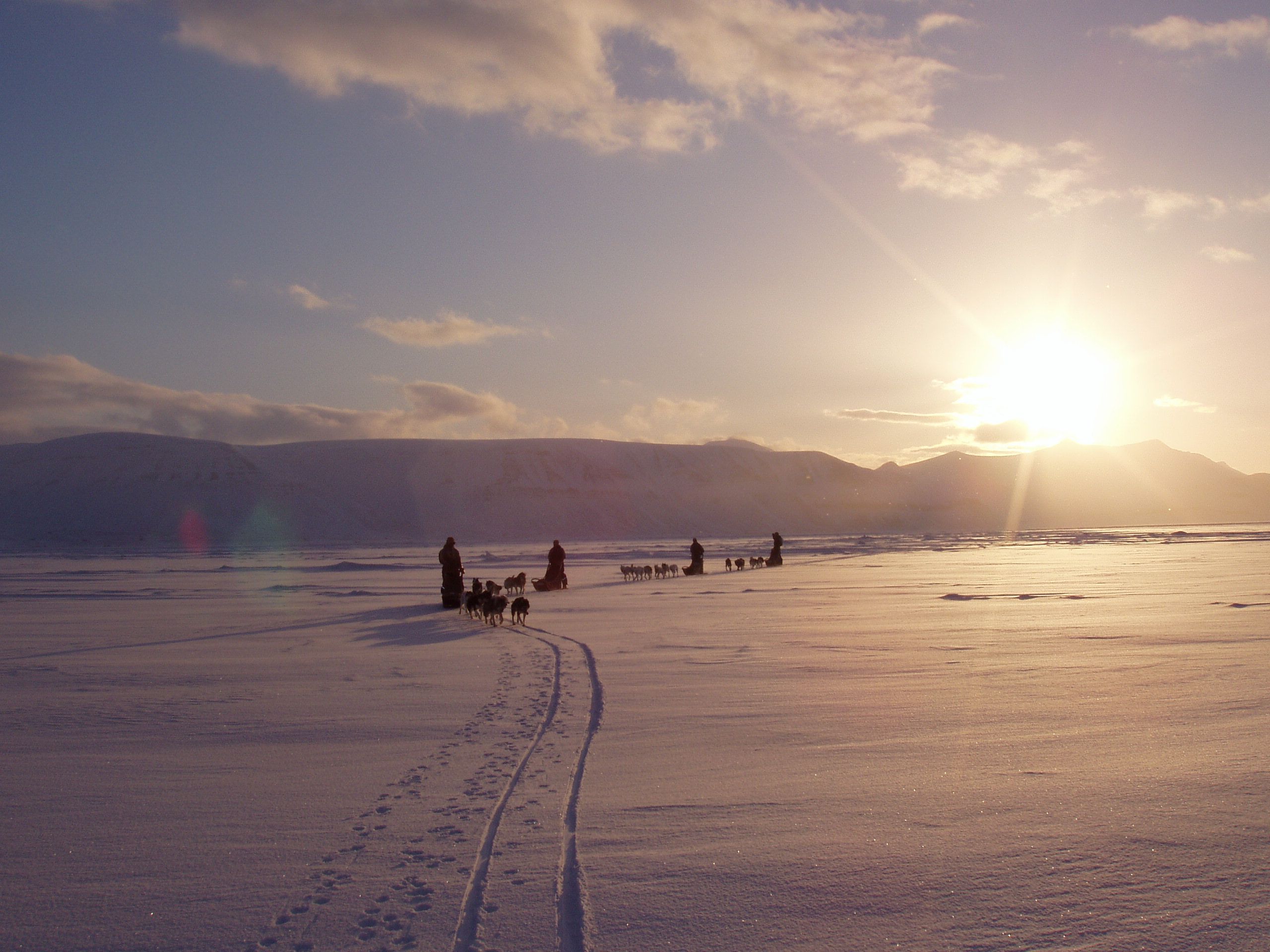 Hundespann, hundekjøring i Norge, Oppland, Valdres, Øystre Slidre, Jotunheimen, familieaktivitet, gruppeaktivitet, vintersesong, vinteraktivitet, hund, slede, dagstur, dagsturer, tur over flere dager.