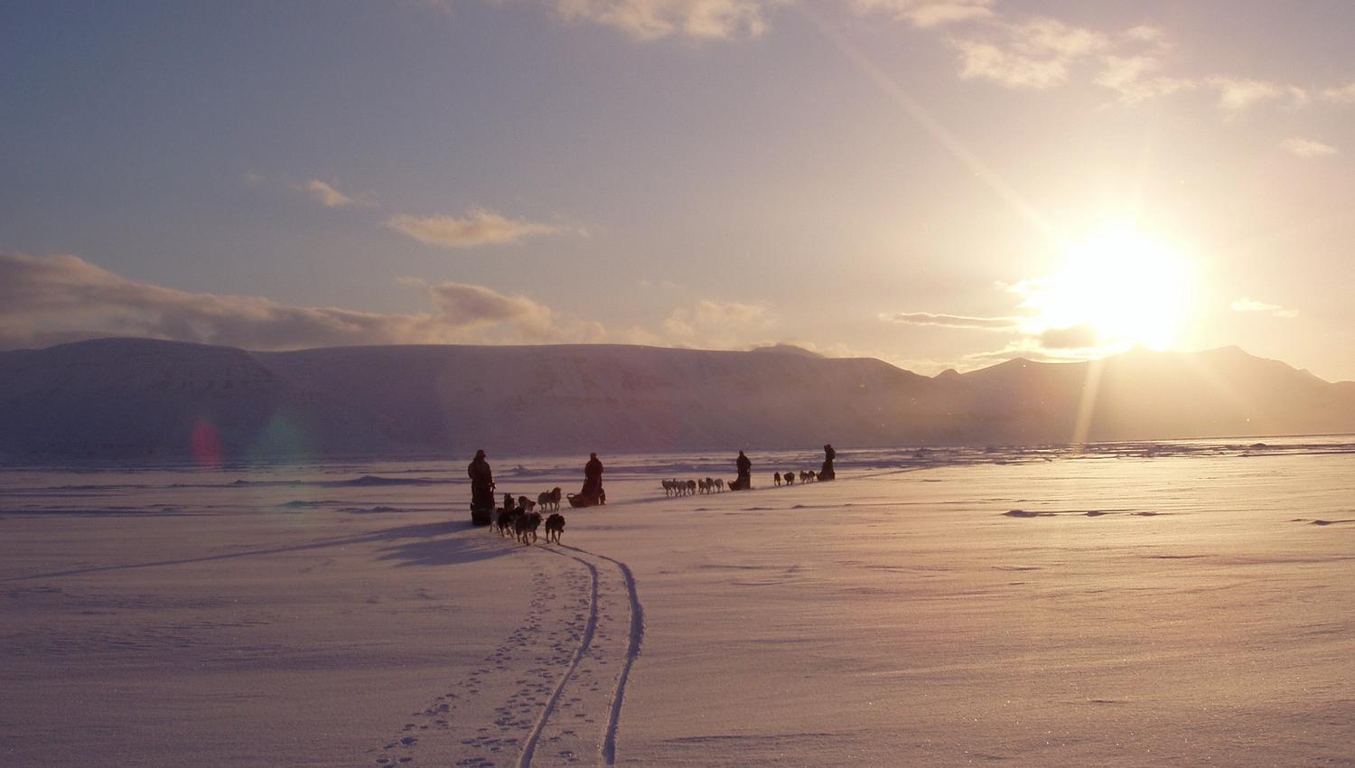 Hundespann, hundekjøring i Norge, Oppland, Valdres, Øystre Slidre, Jotunheimen, familieaktivitet, gruppeaktivitet, vintersesong, vinteraktivitet, hund, slede, dagstur, dagsturer, tur over flere dager.