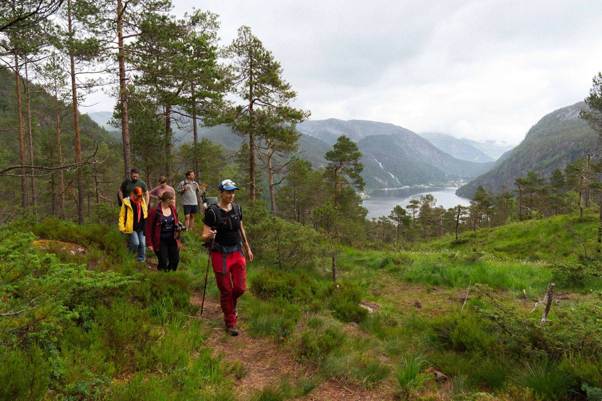 Fjord cruise & guided mountain hike to "Slottet"