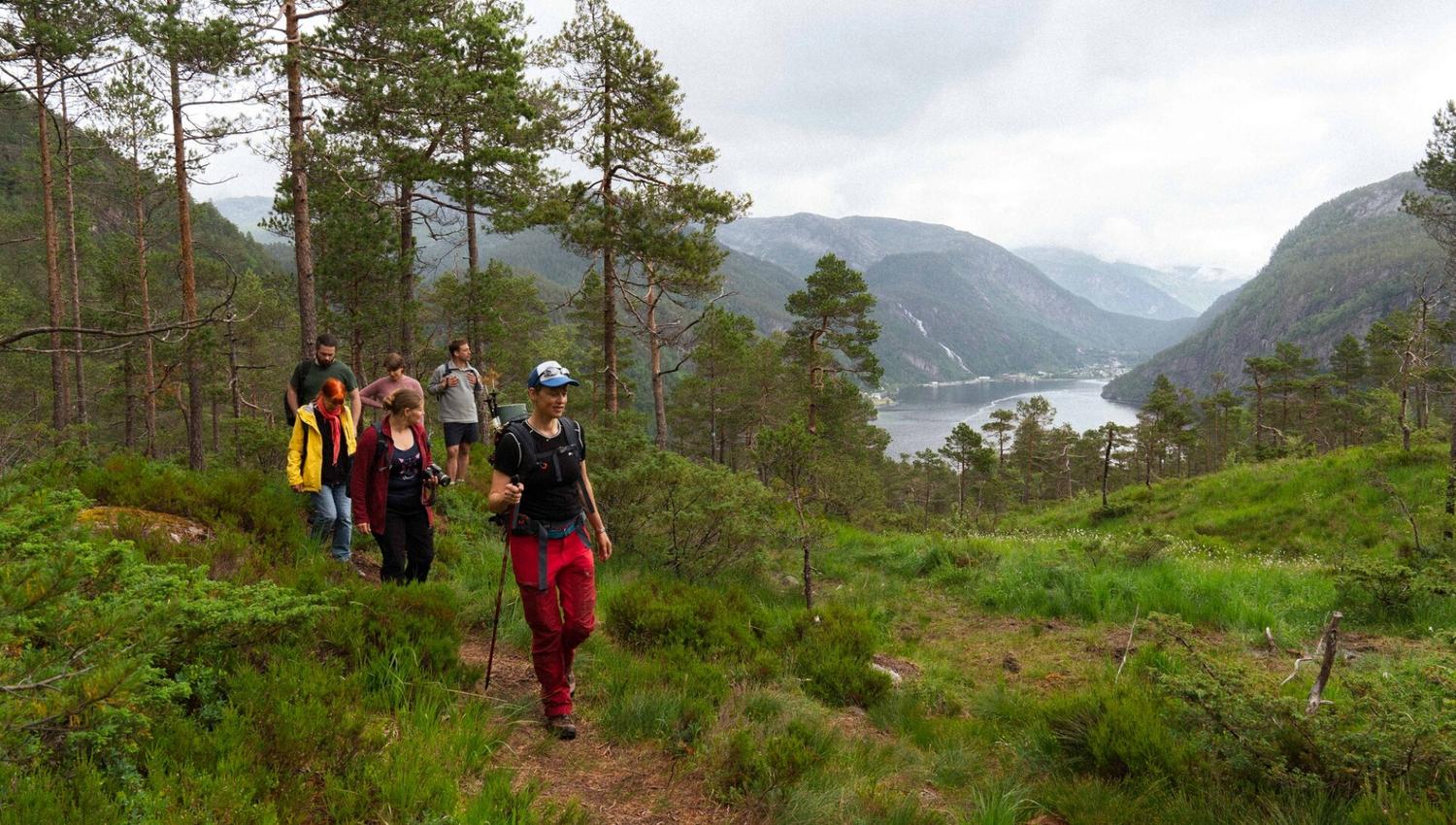 Fjord cruise & guided mountain hike to "Slottet"