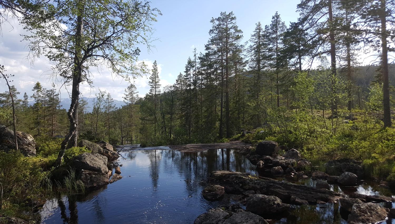 Bekk fra Hangstjern