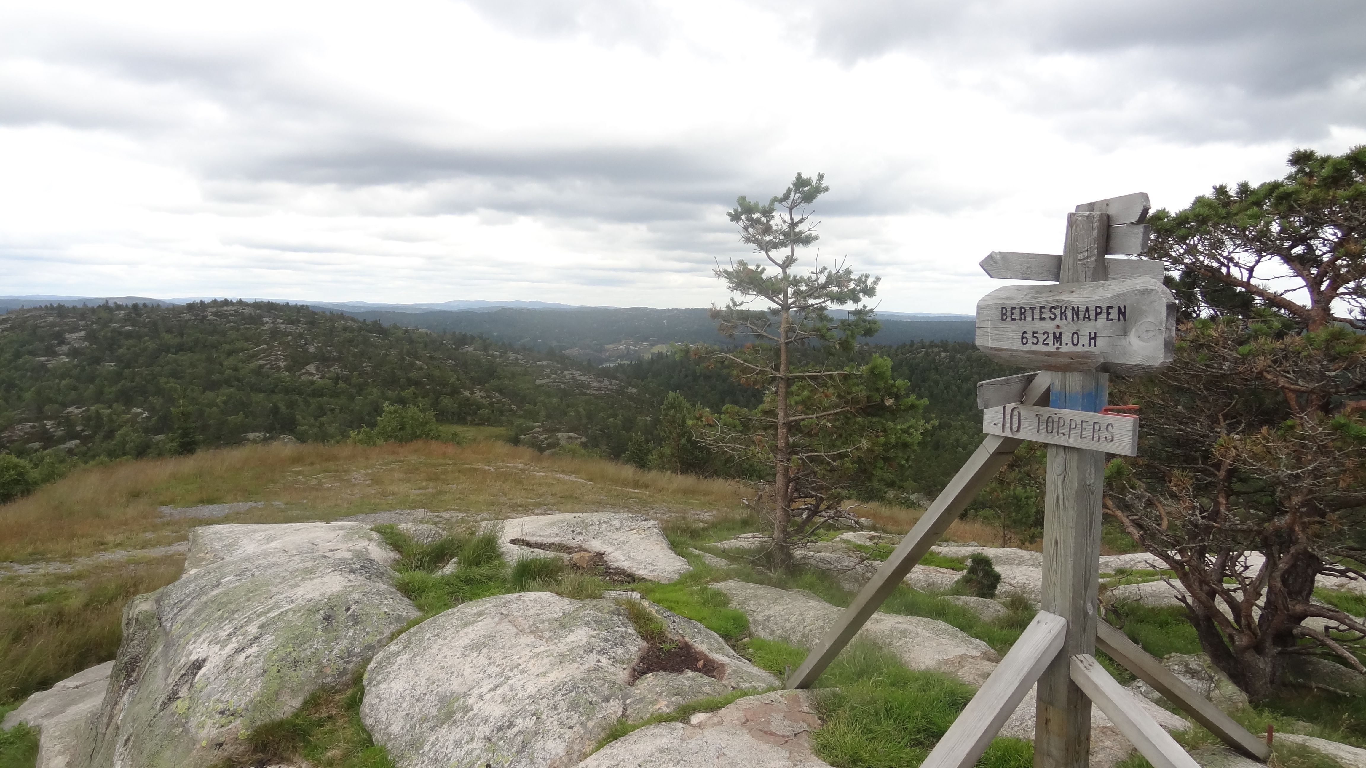 Bertesknapen