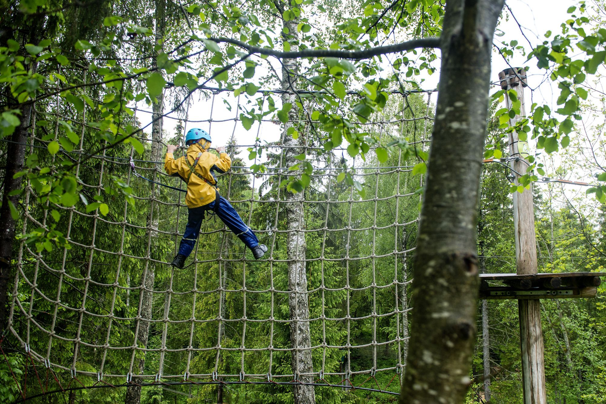 En som klatrer i netting