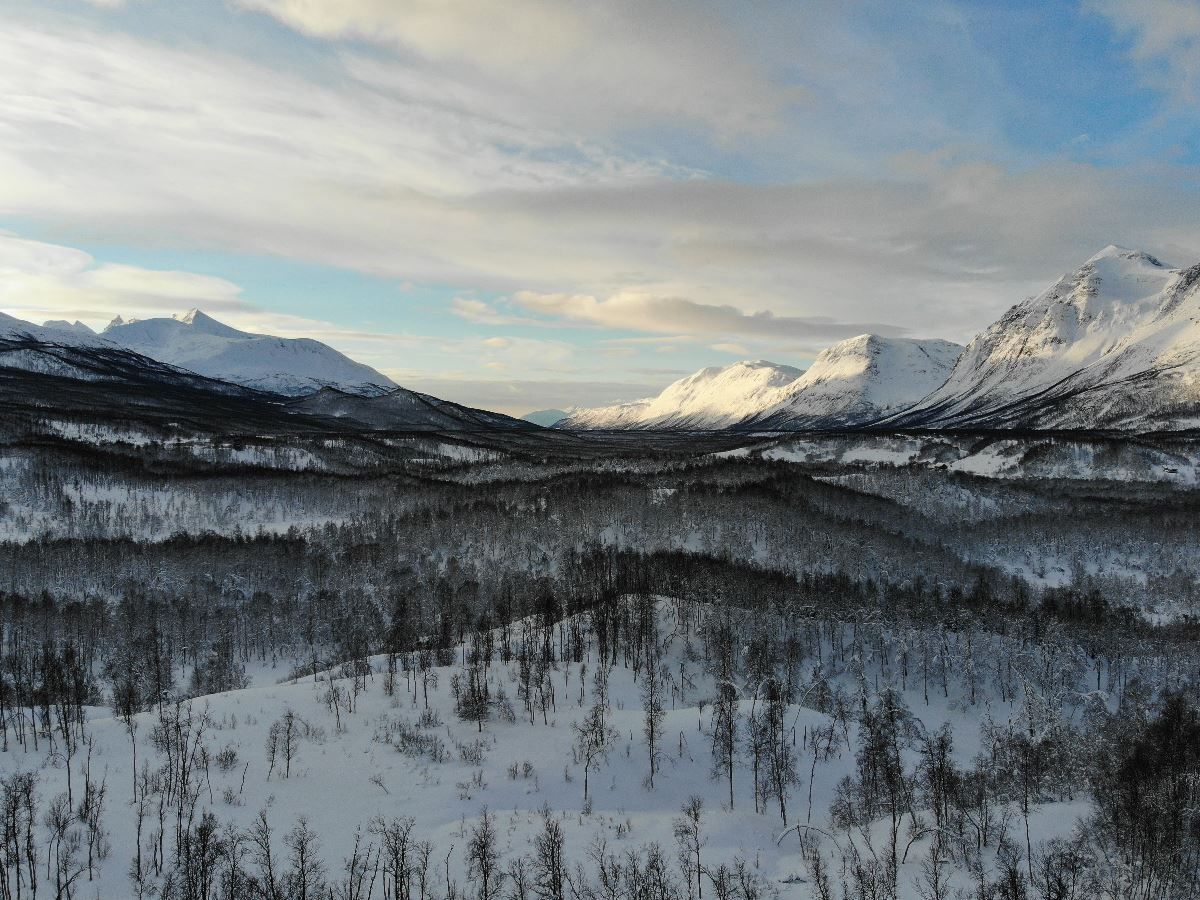 Snødekt landskap
