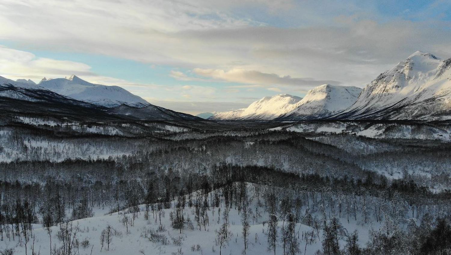 Snødekt landskap