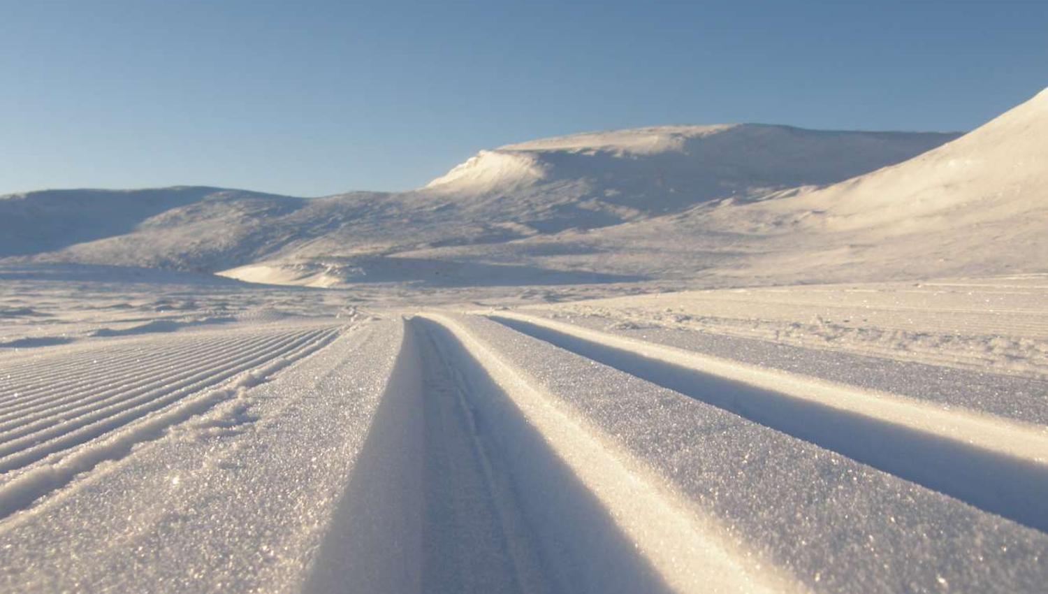 Høgevarde - preparerte løyper