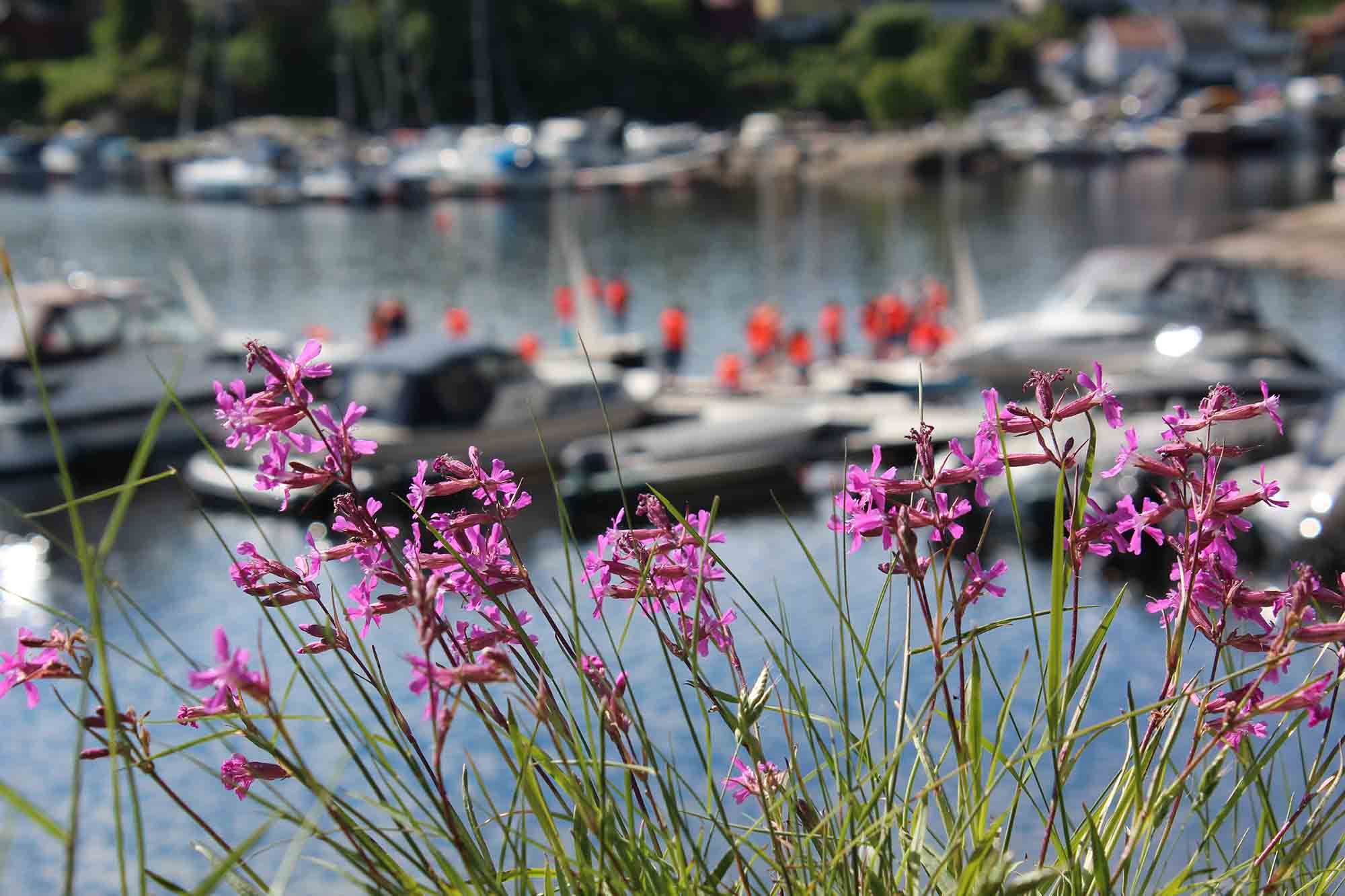 Kragerø Sportell