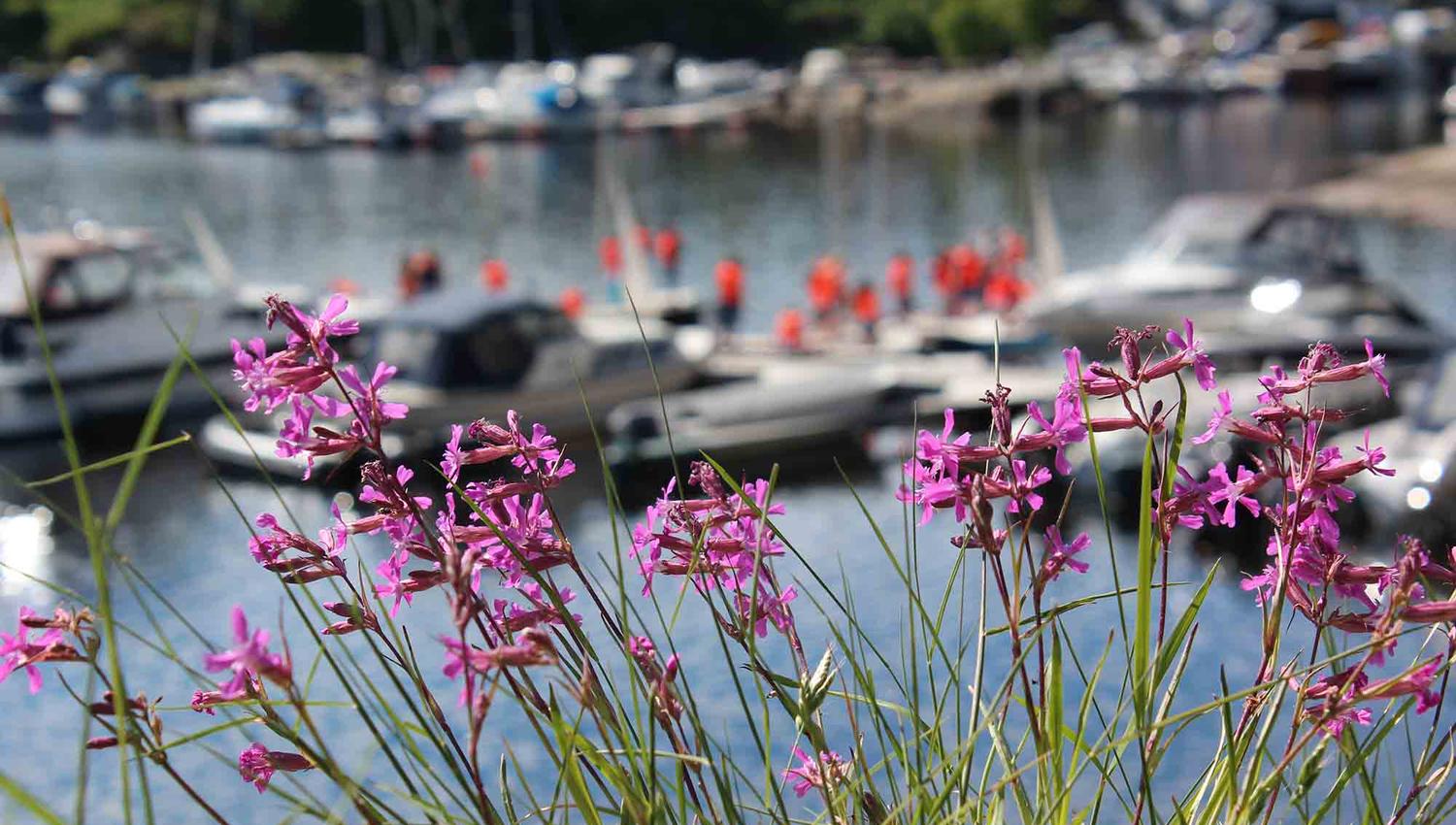 Kragerø Sportell