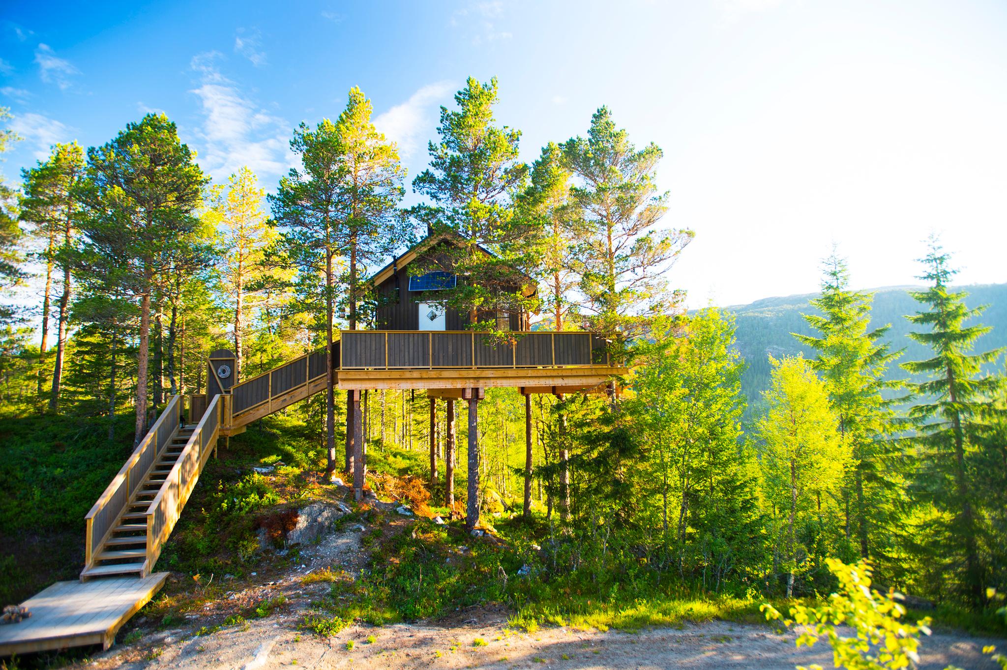 Himmelhøy Tree Top Cabin