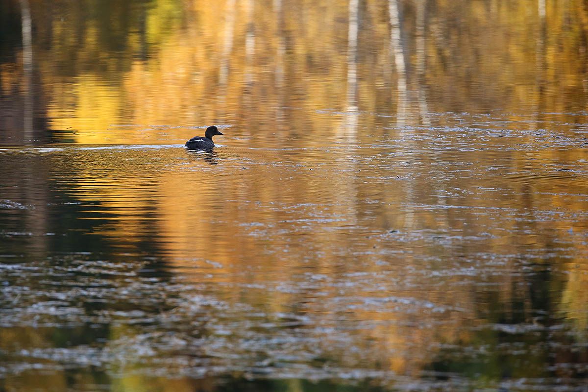 web_kvinand_Y92A8170