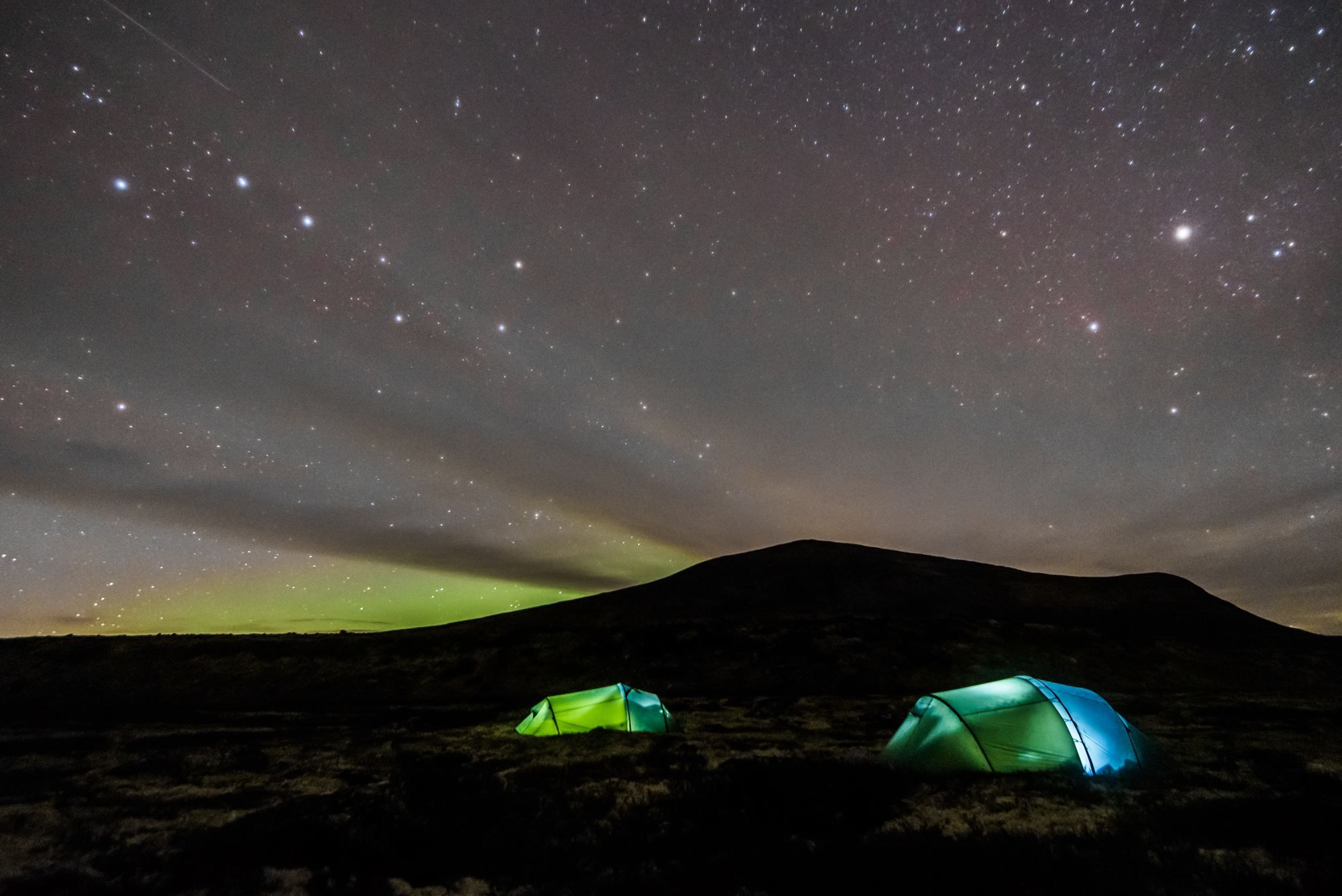 Moskussafari m/personlig guide, 2 dager