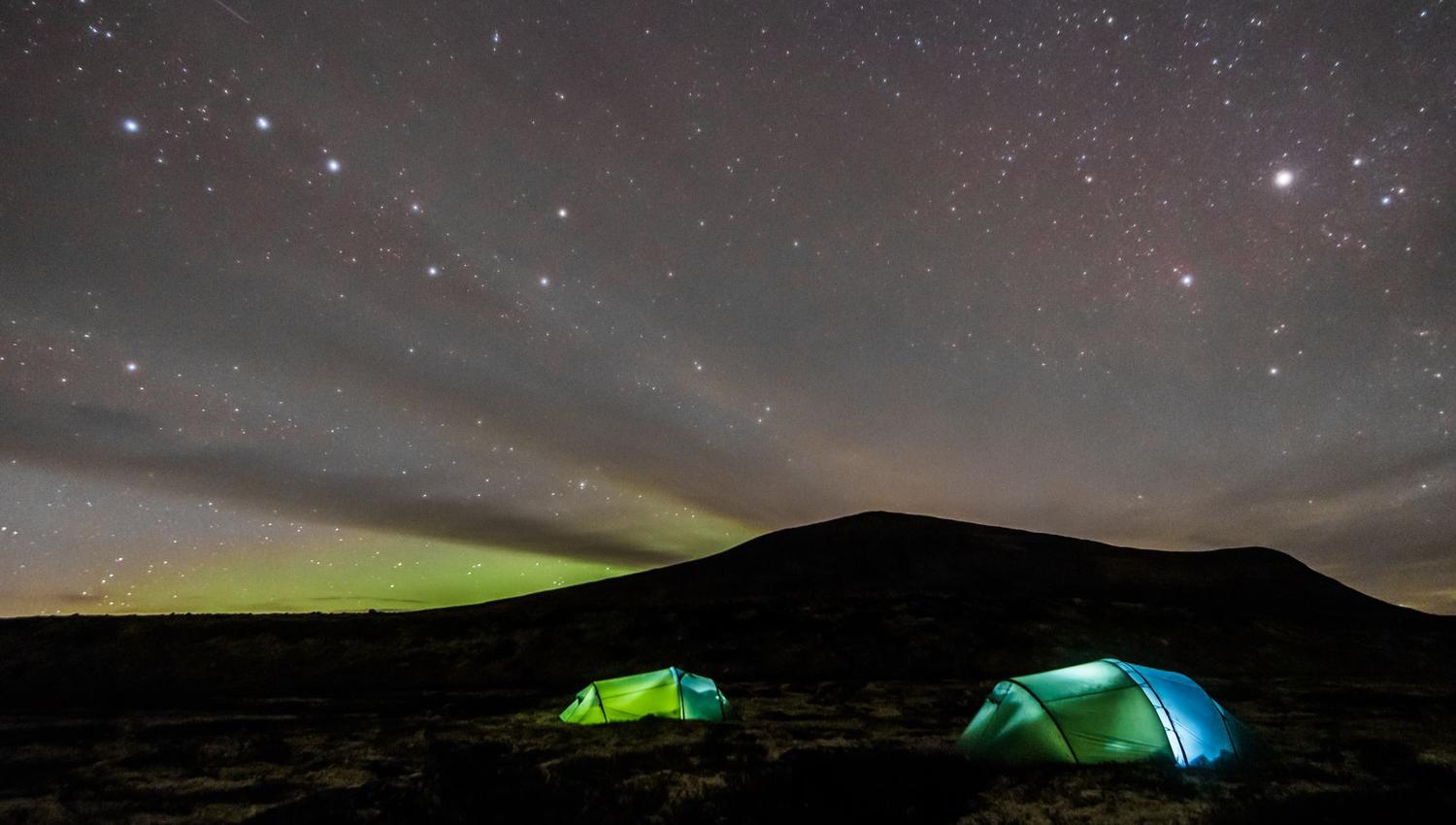 Moskussafari m/personlig guide, 2 dager