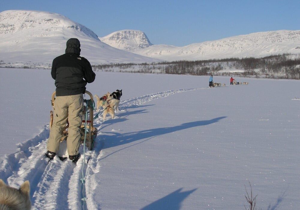 dog sledding