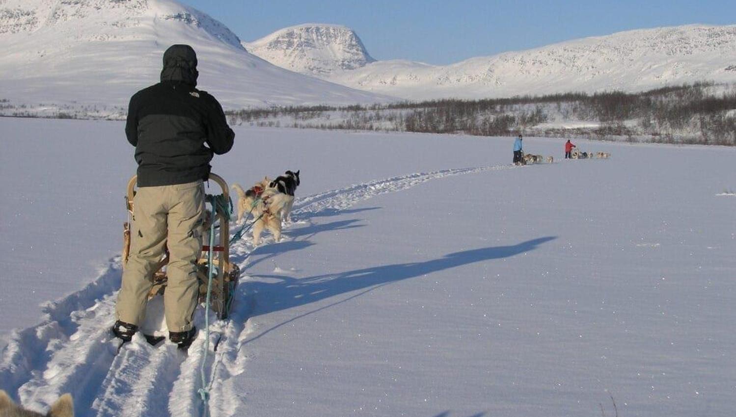 dog sledding