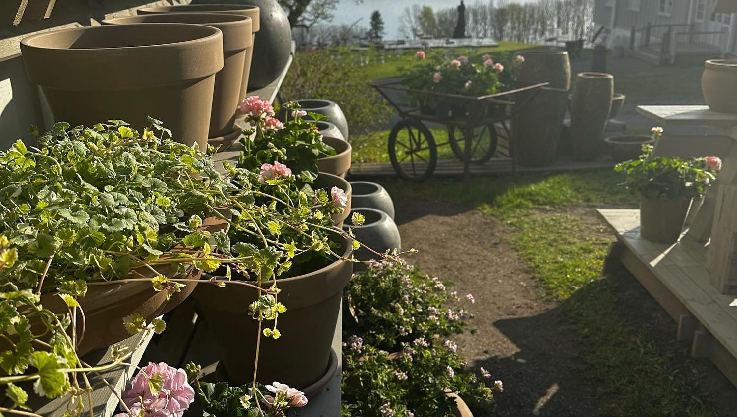 Vår i butikken ved Peder Balke-senteret