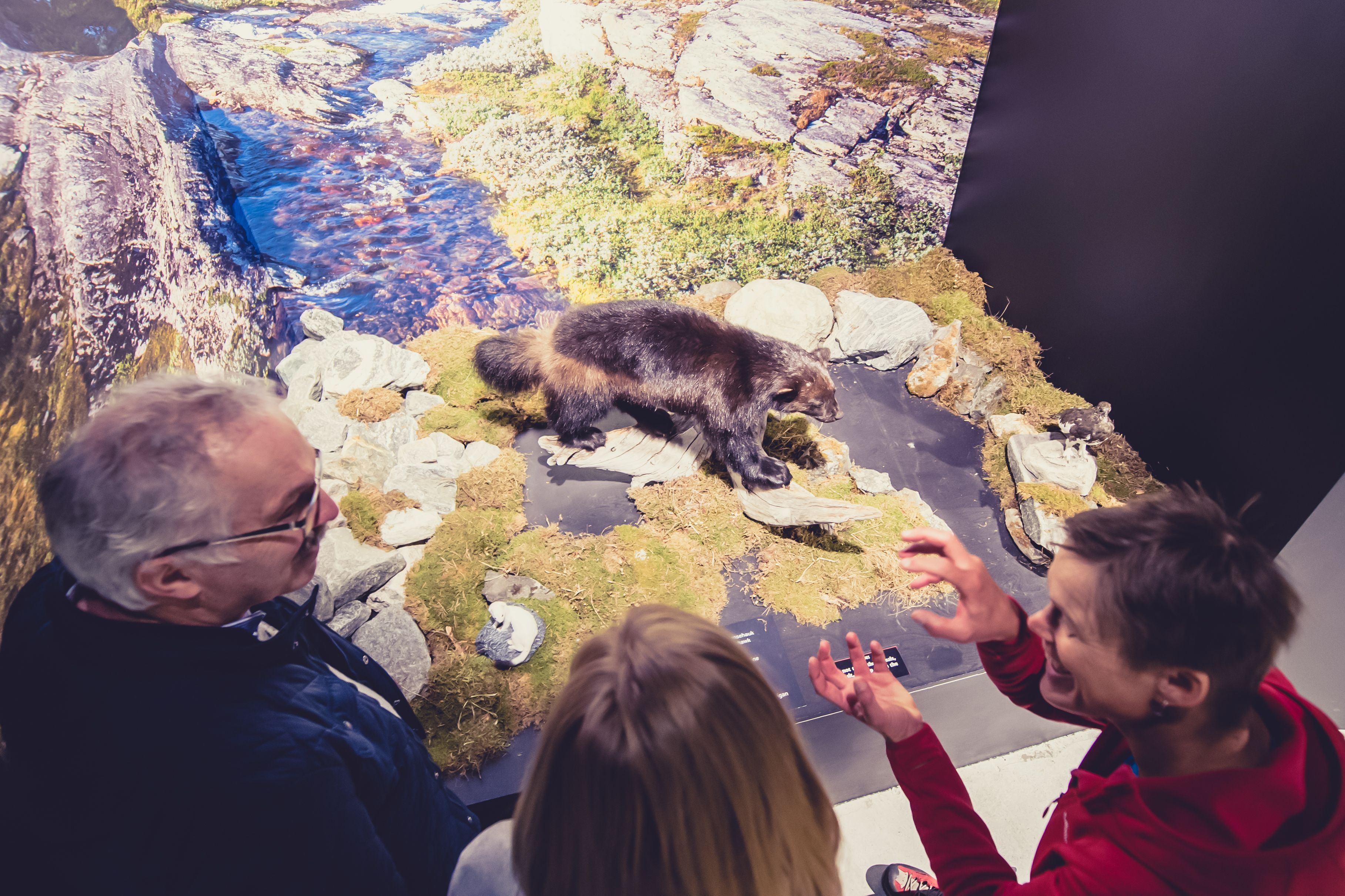 Norsk Fjordsenter - Besøkssenter for Geirgangerfjorden Verdsarv