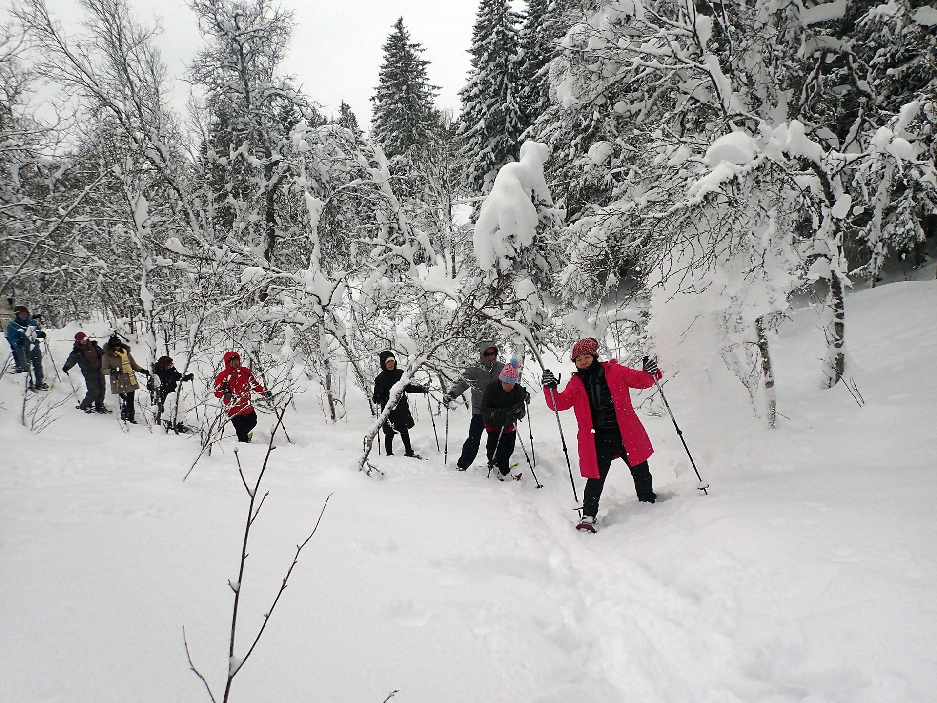 People on a snow trek in a snow-covered forest wearing winter clothing and using poles.