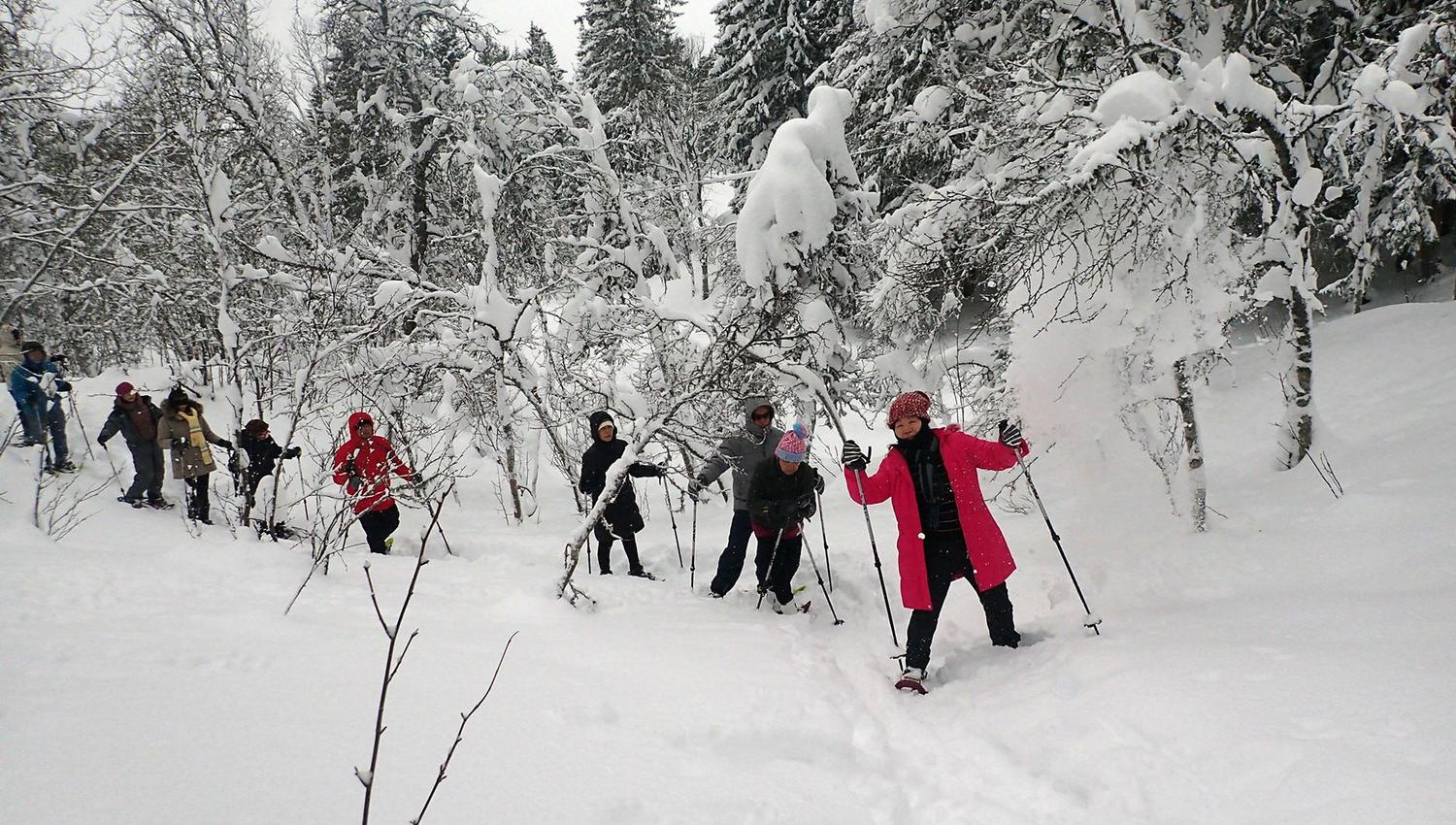 People on a snow trek in a snow-covered forest wearing winter clothing and using poles.