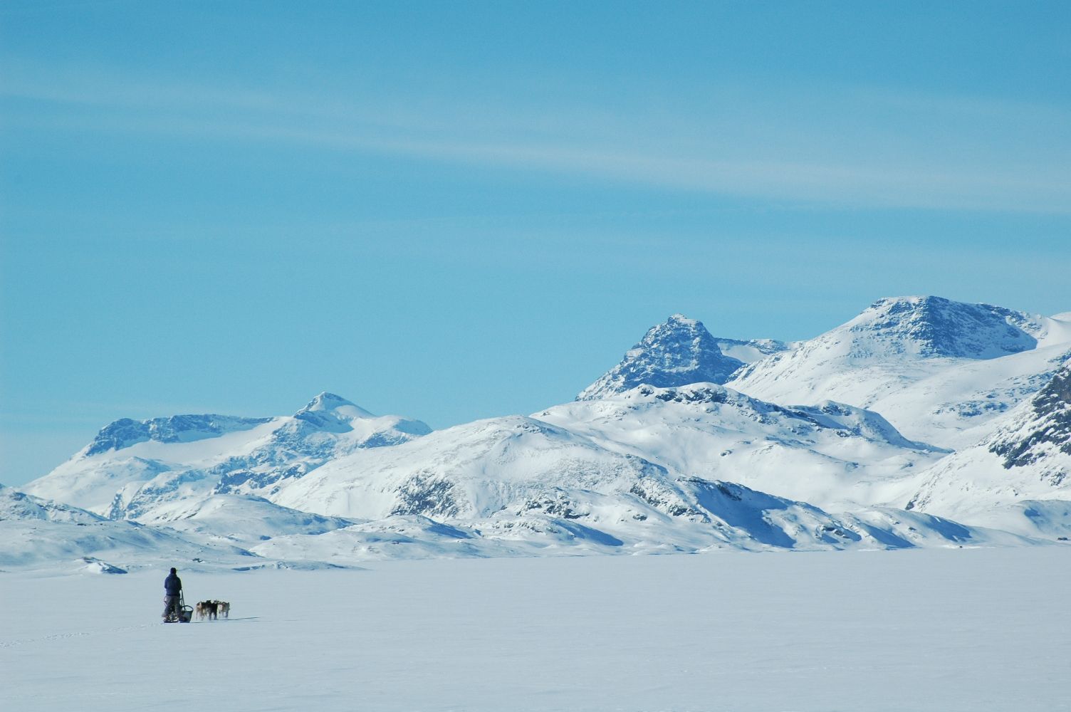 Hundekjøring i mektige omgivelser på fjellet vinterstid.