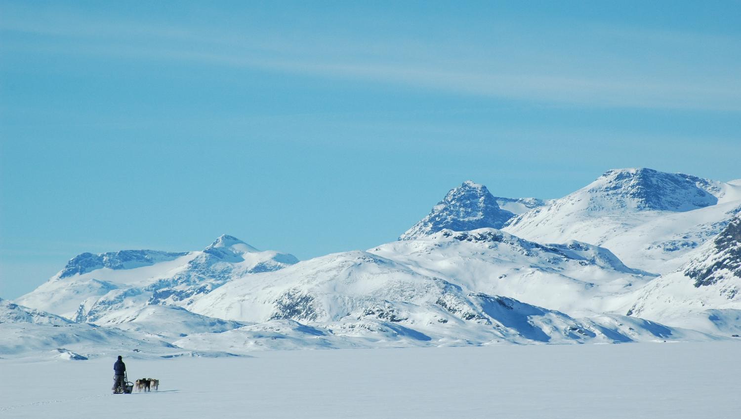 Hundekjøring i mektige omgivelser på fjellet vinterstid.