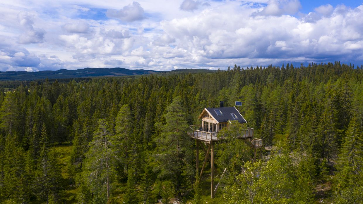 Faraasen Tretoppgård