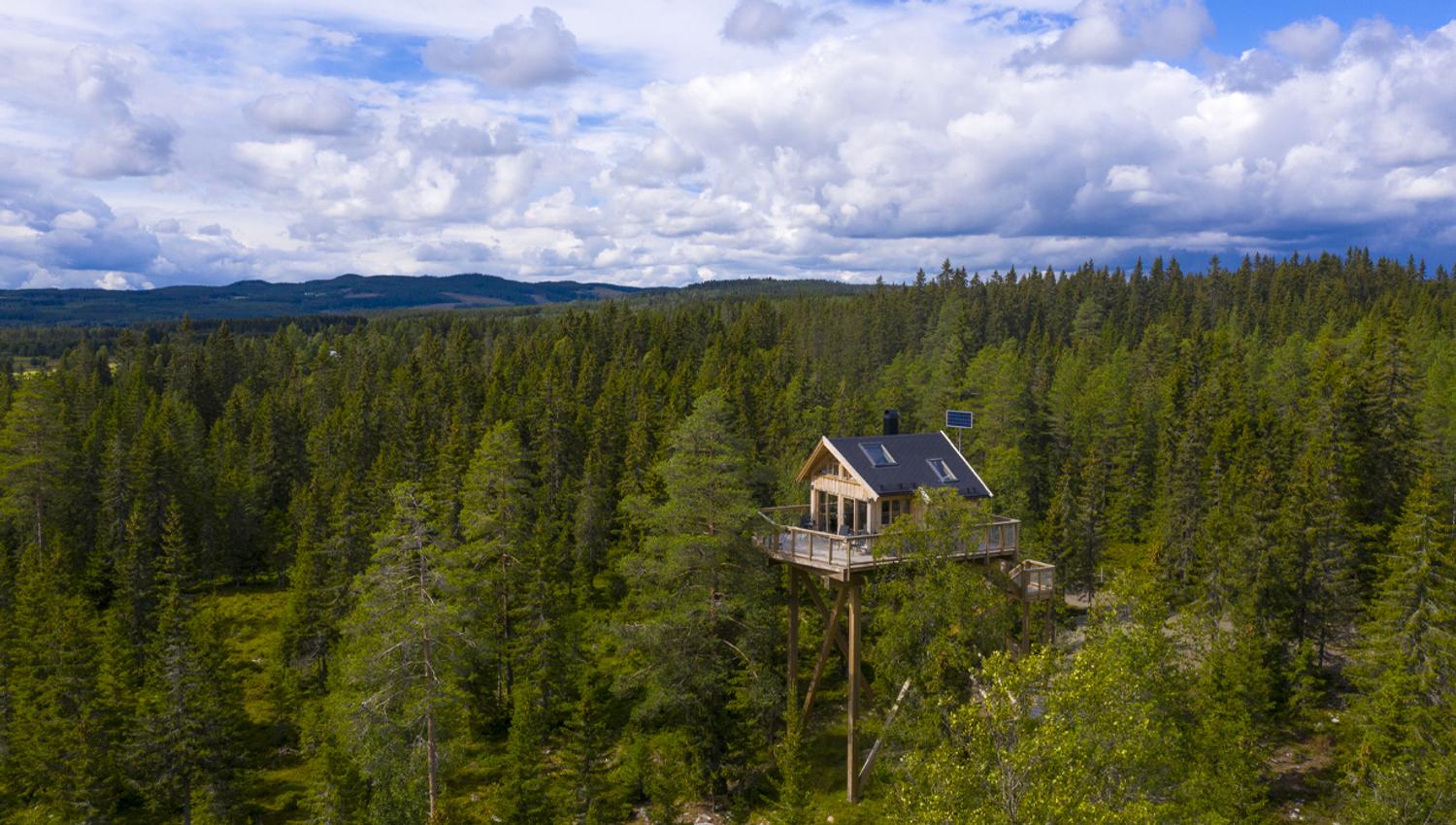Faraasen Tretoppgård