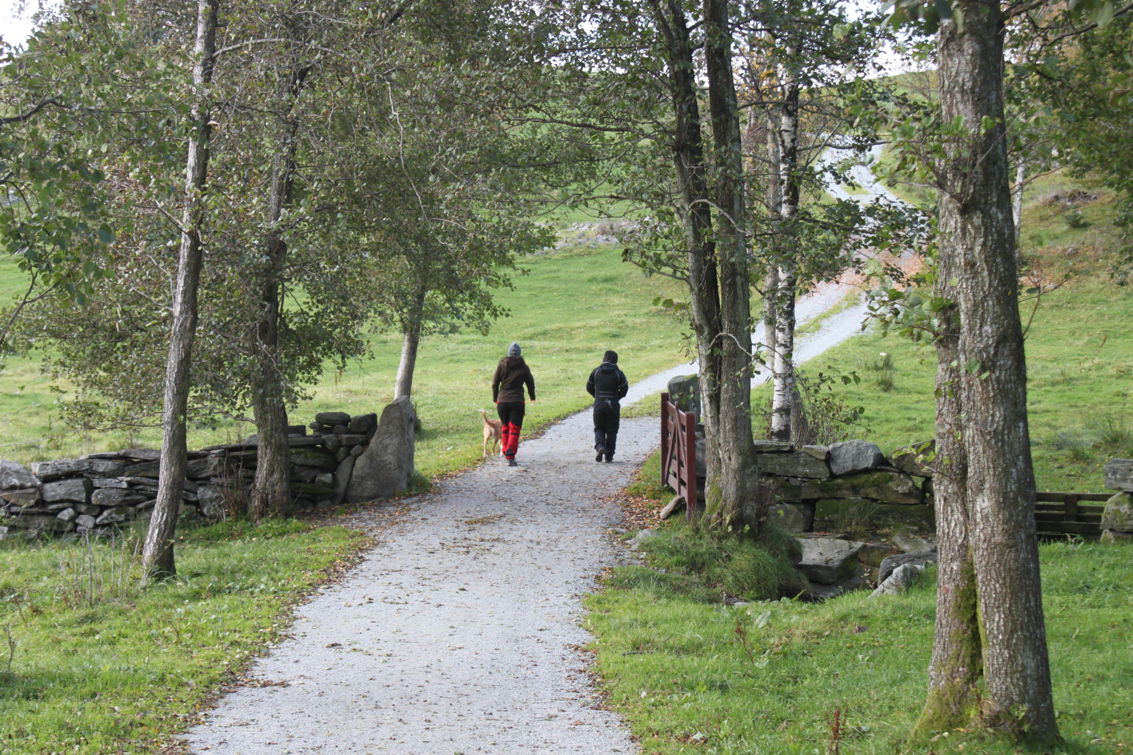 Klubben - hike to Talgje's highest point