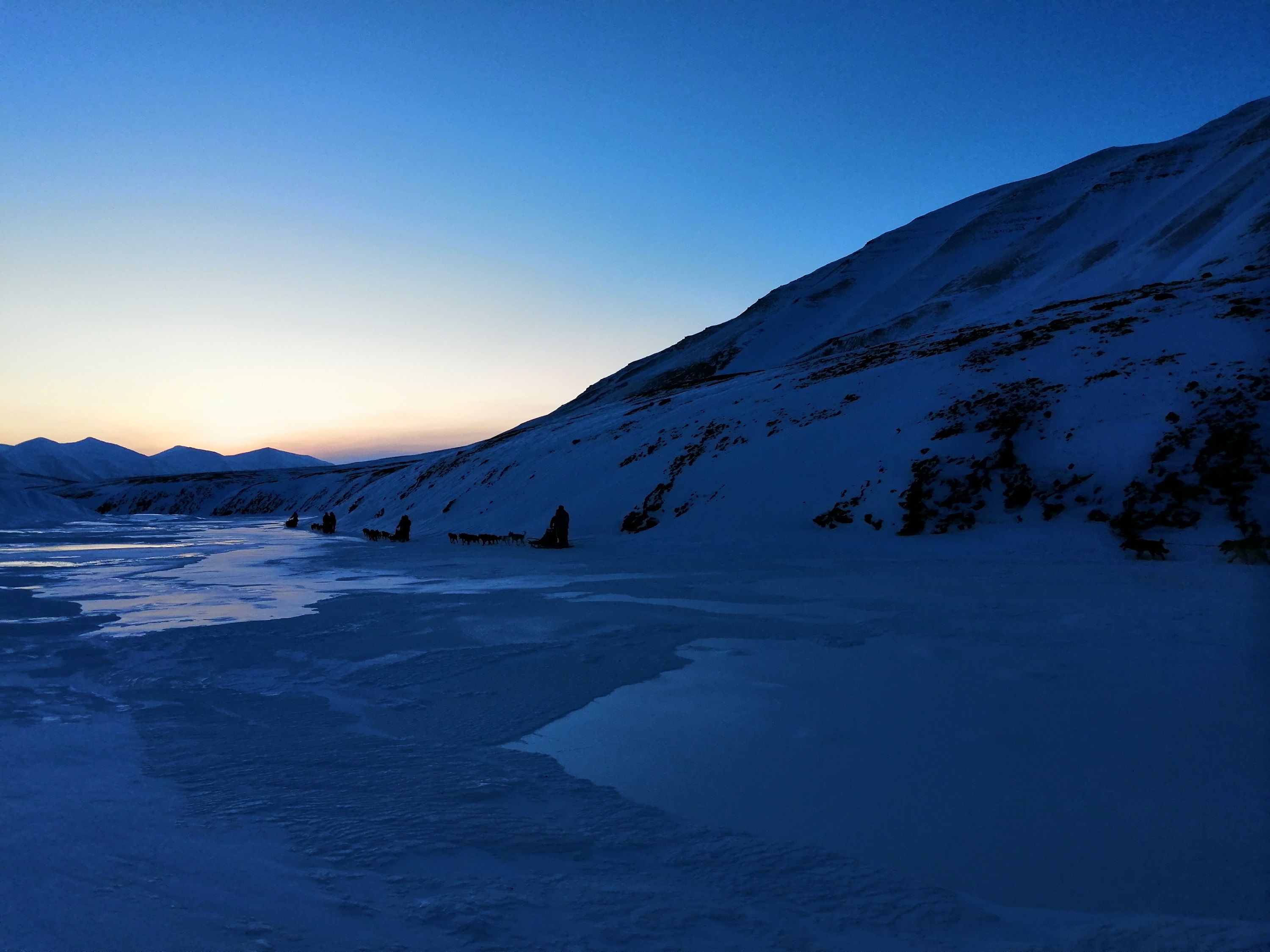 Three dog sleds driving at twillight