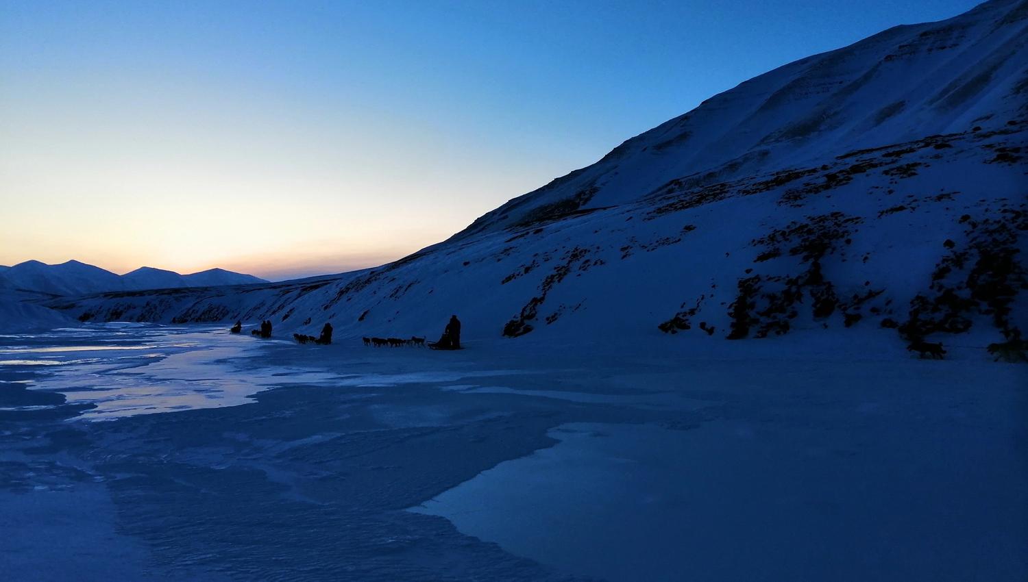 Tre hundesleder som kjører i skumringstiden