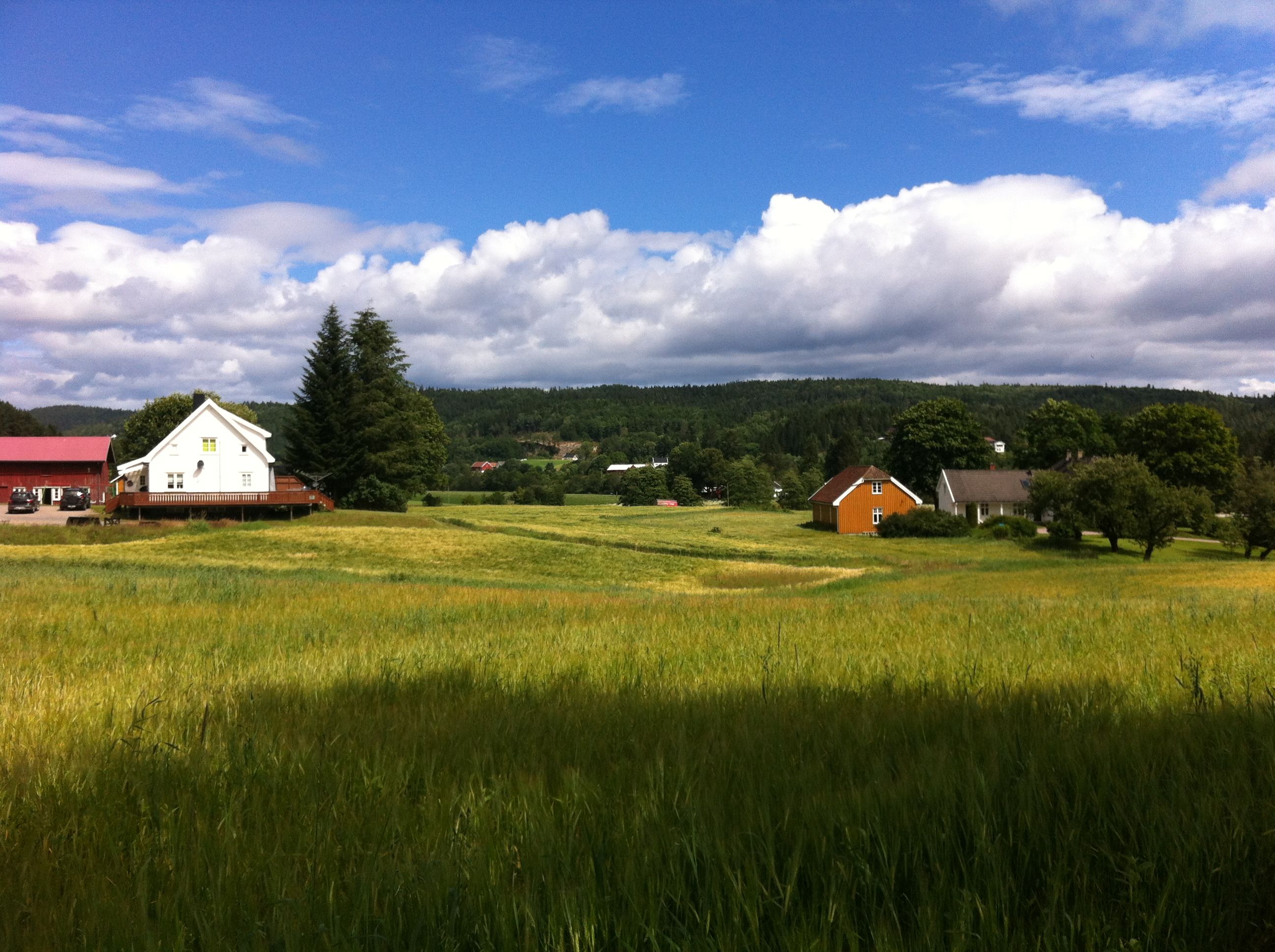 Barnevandrerstien Etappe 6