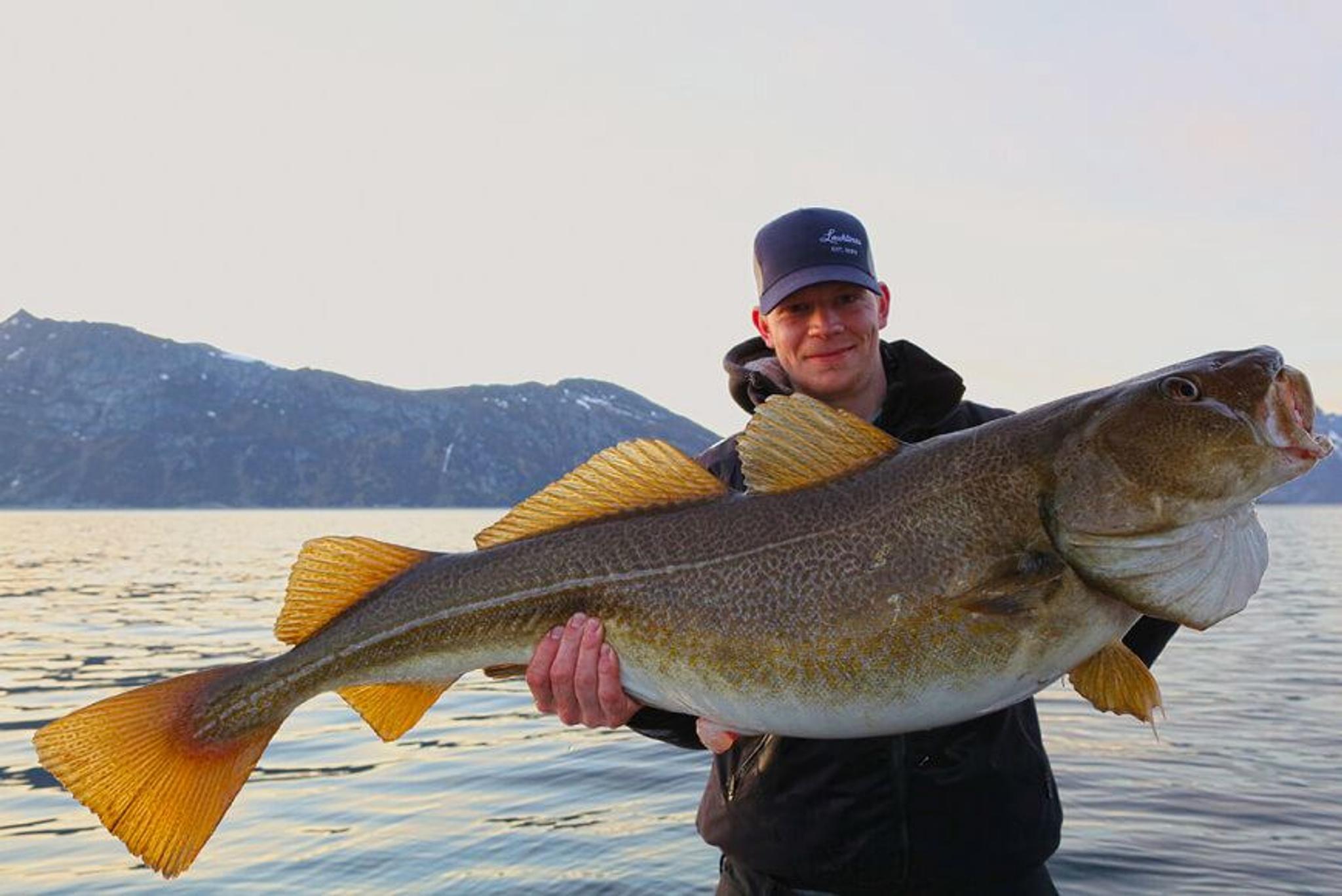 Man holding a big cod on a fishing trip outside of Tromsø