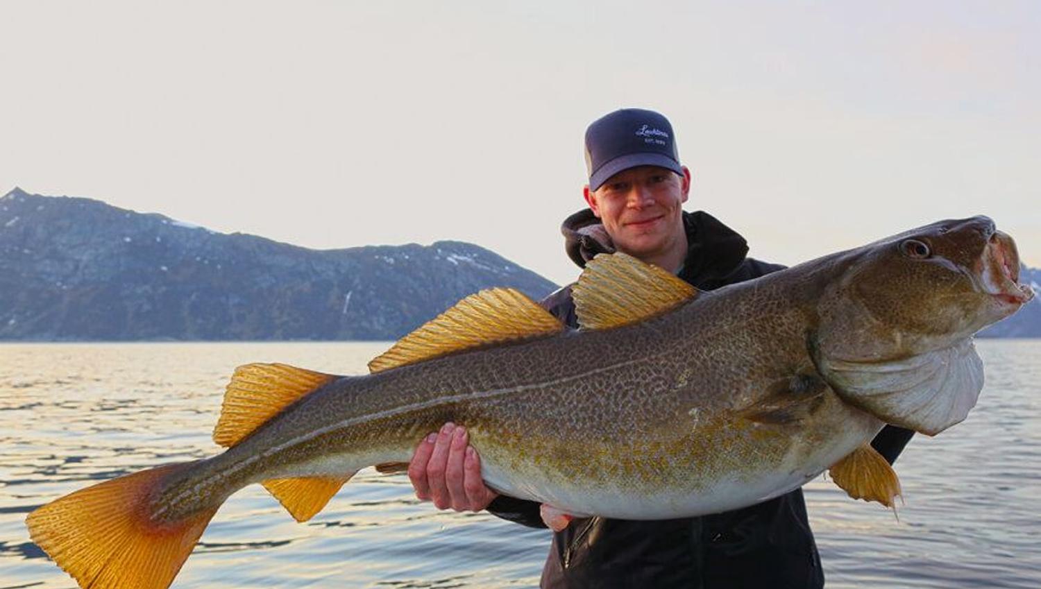 Man holding a big cod on a fishing trip outside of Tromsø