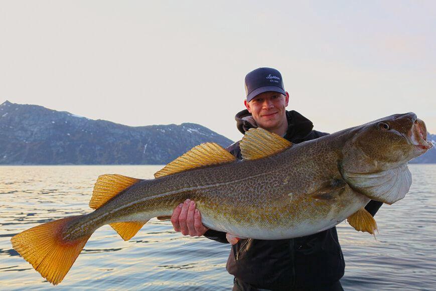 Man holding a big cod on a fishing trip outside of Tromsø