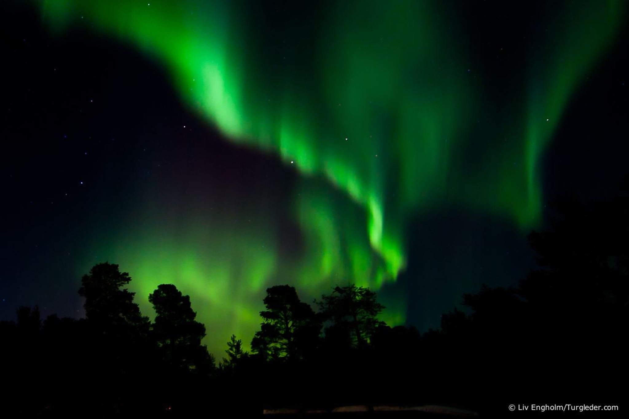 Northern light safari