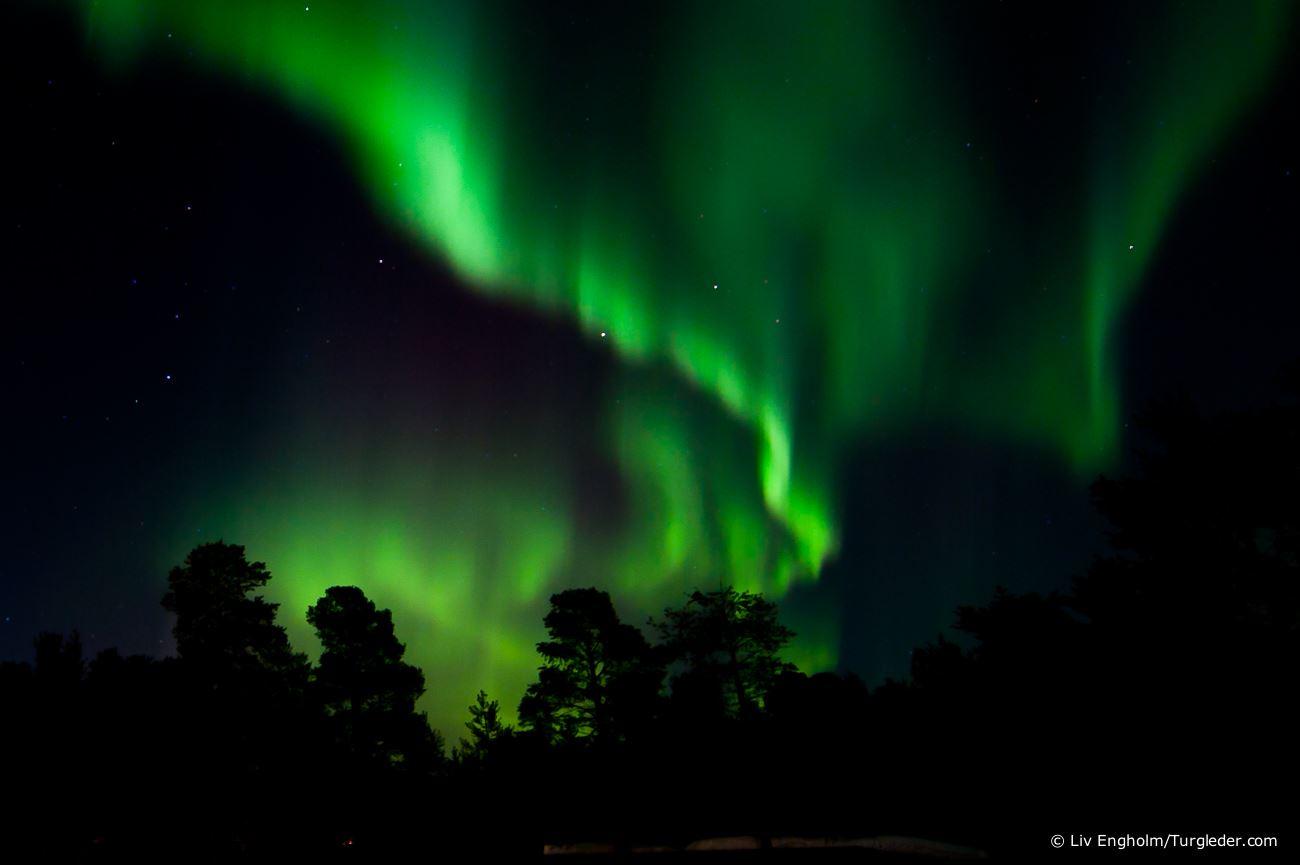 Northern light safari