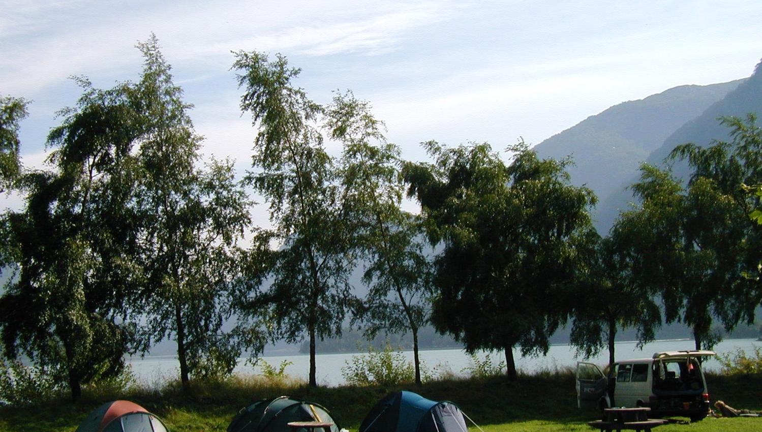 Teltområde på grasplen ved fjorden omgitt av tre og fjell.