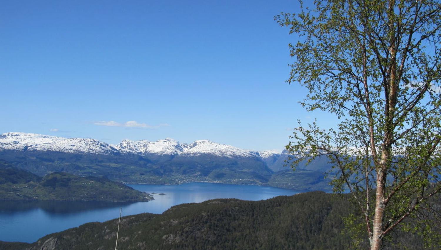utsikt frå fjellstøl steinar smith