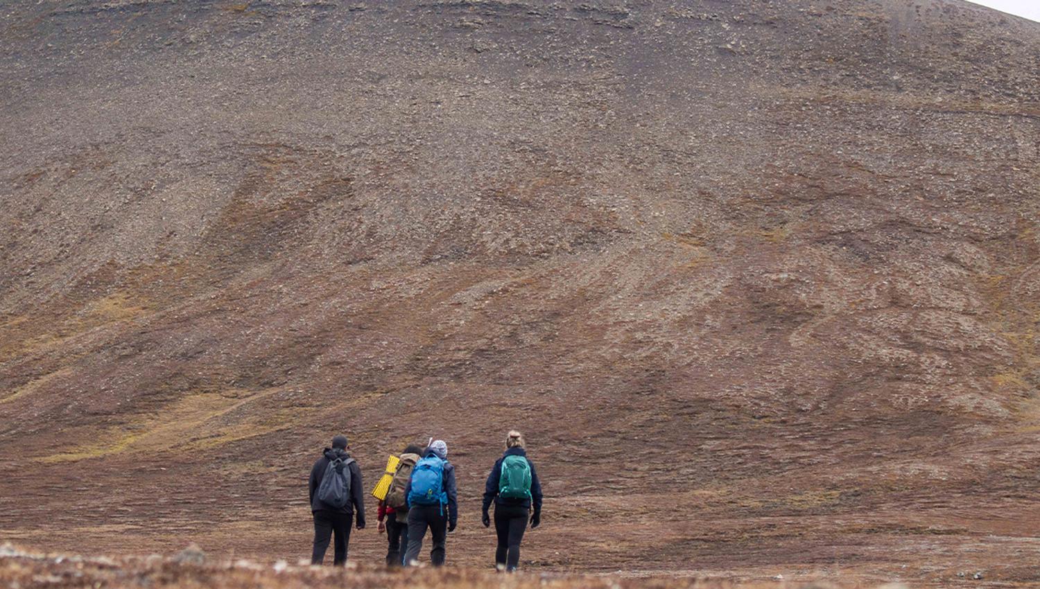 A group of guests and a guide hiking through a tundra landscape