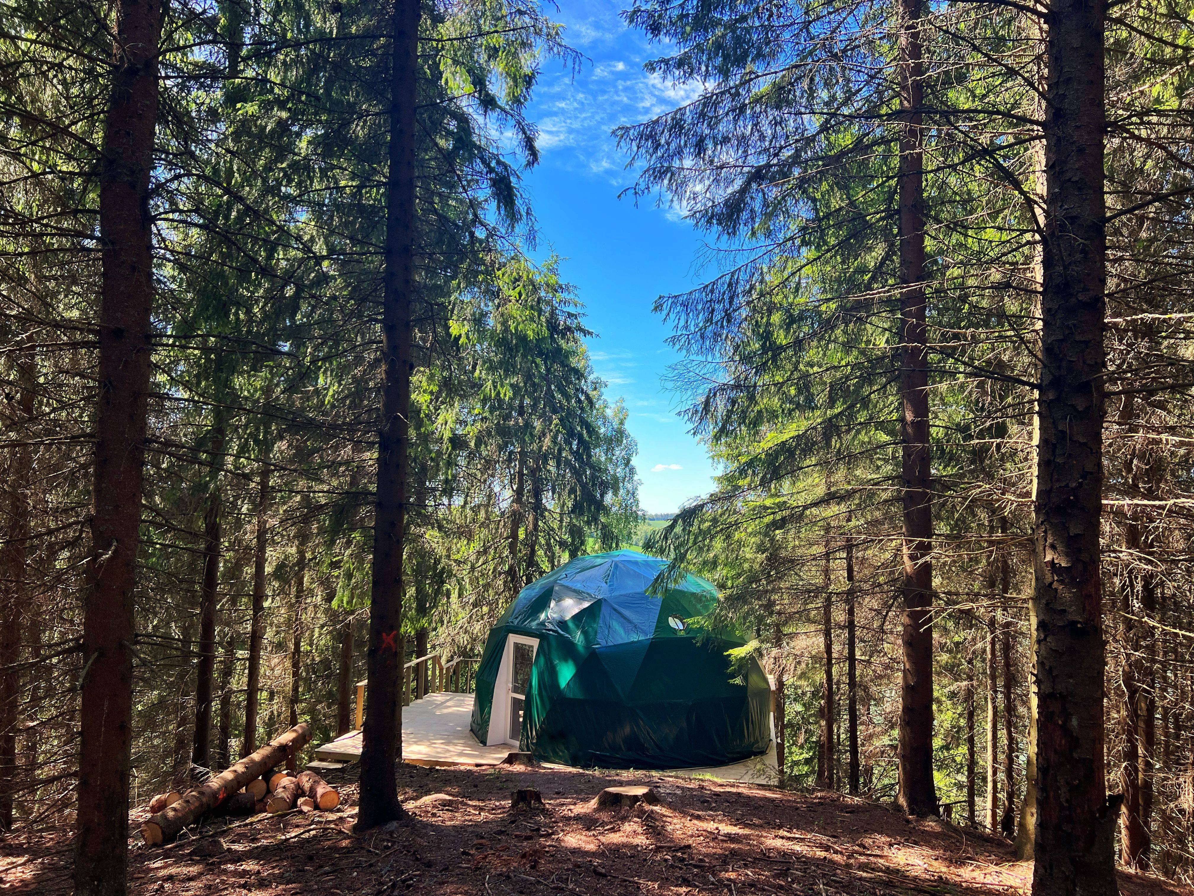 WonderInn Dome with forest around 