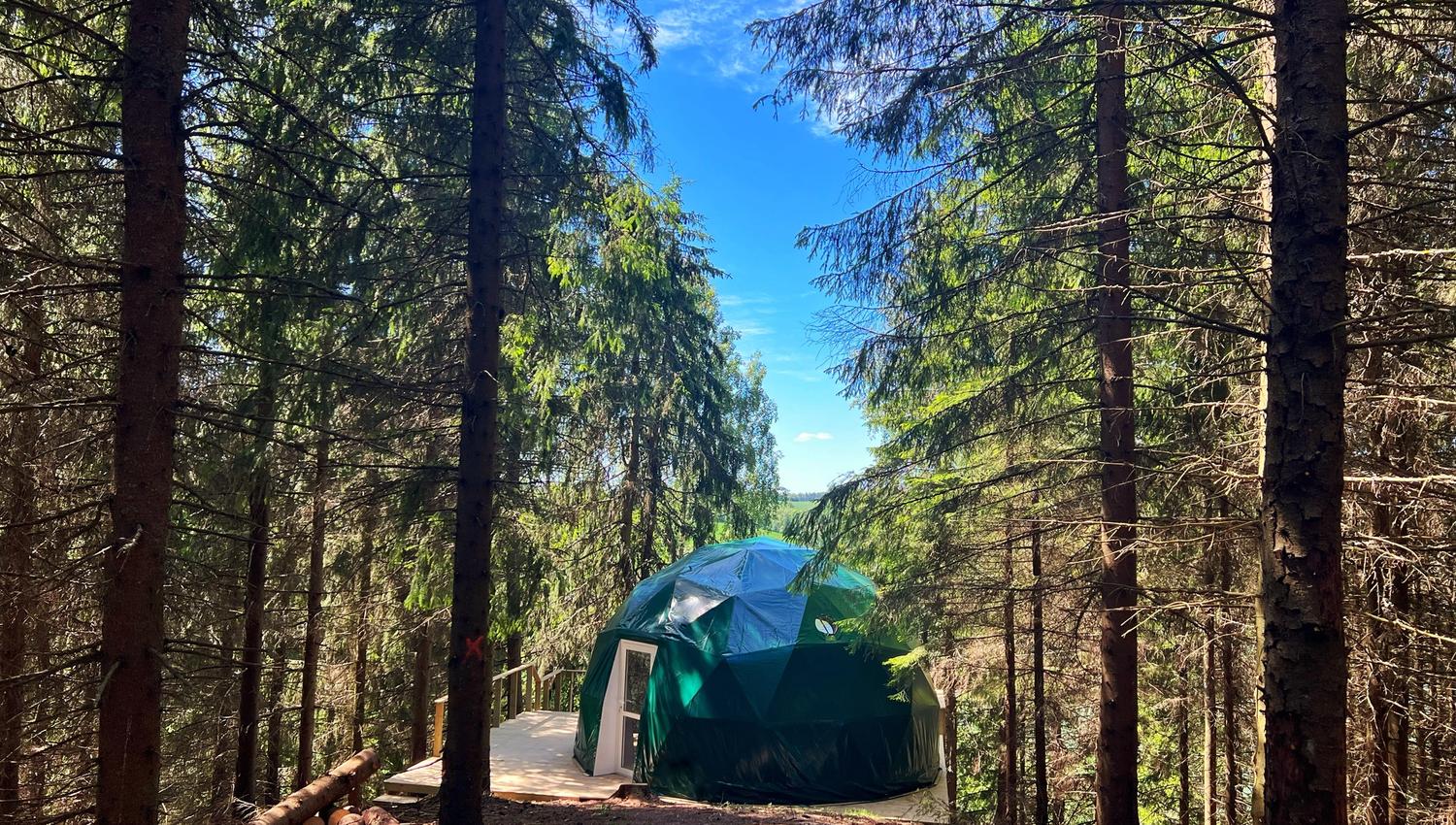 WonderInn Dome with forest around