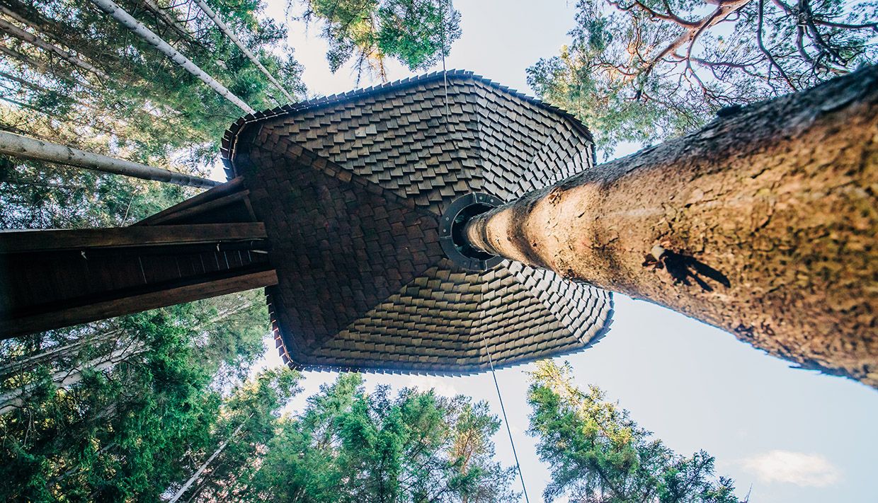 Unik arkitektur i Woodnest tretopphytte, bygd rundt stammen på eit stort tre.