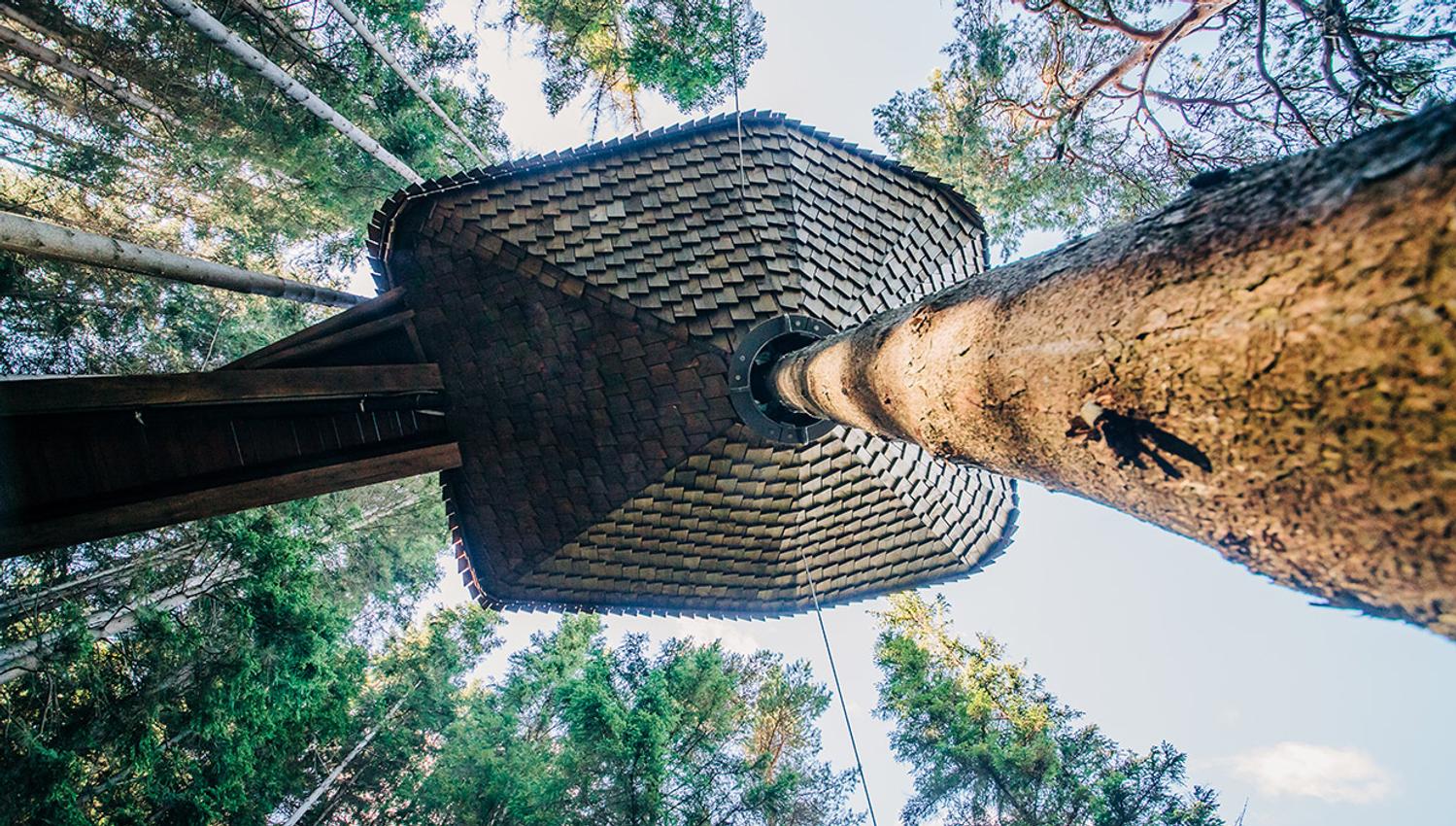 Unik arkitektur i Woodnest tretopphytte, bygd rundt stammen på eit stort tre.