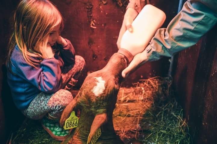 Fil 12.09.2017, 10.31.36