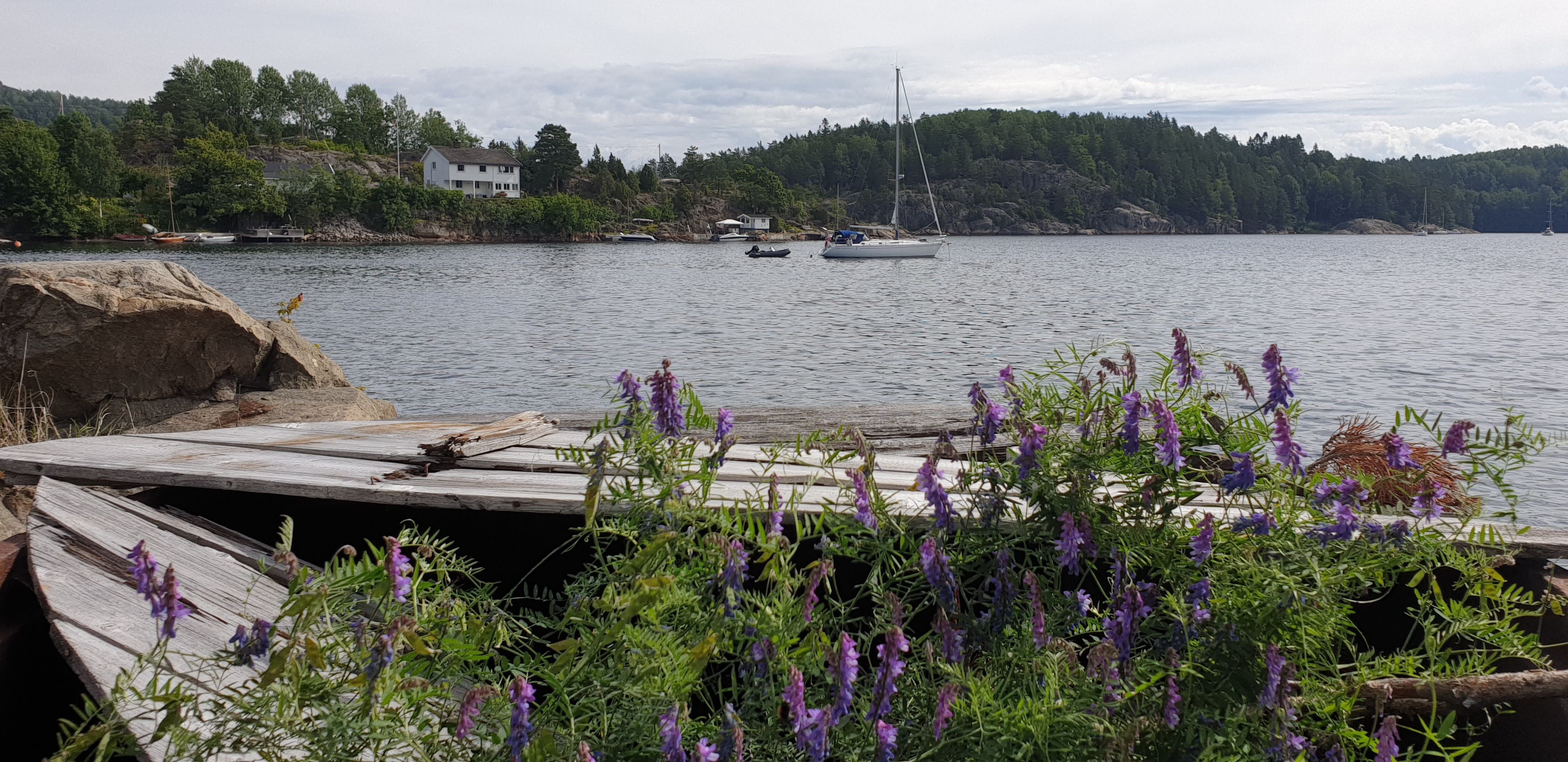 Sjøutsikt Sandspollen