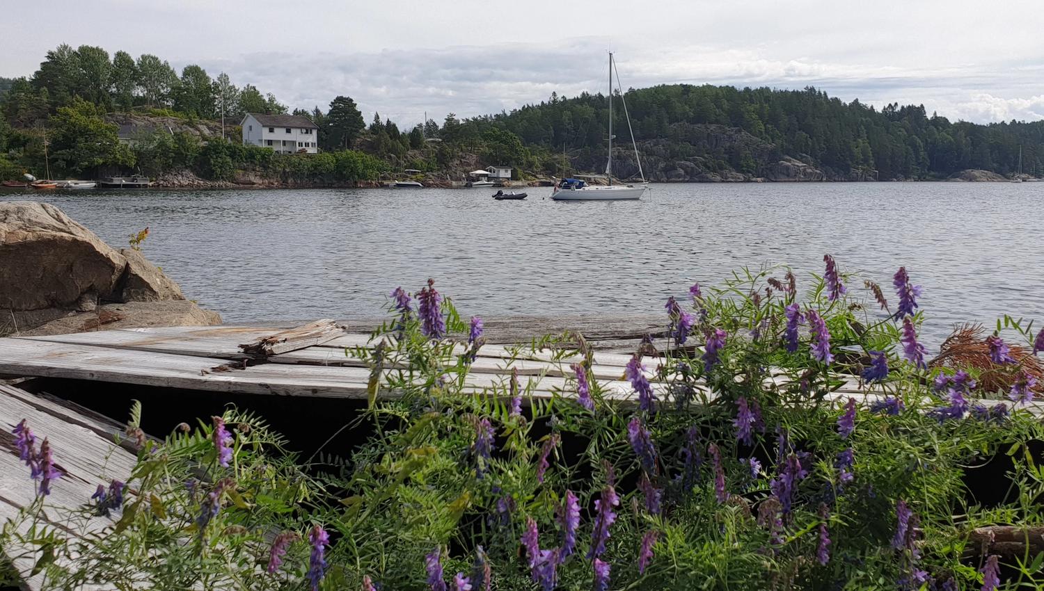 Sjøutsikt Sandspollen