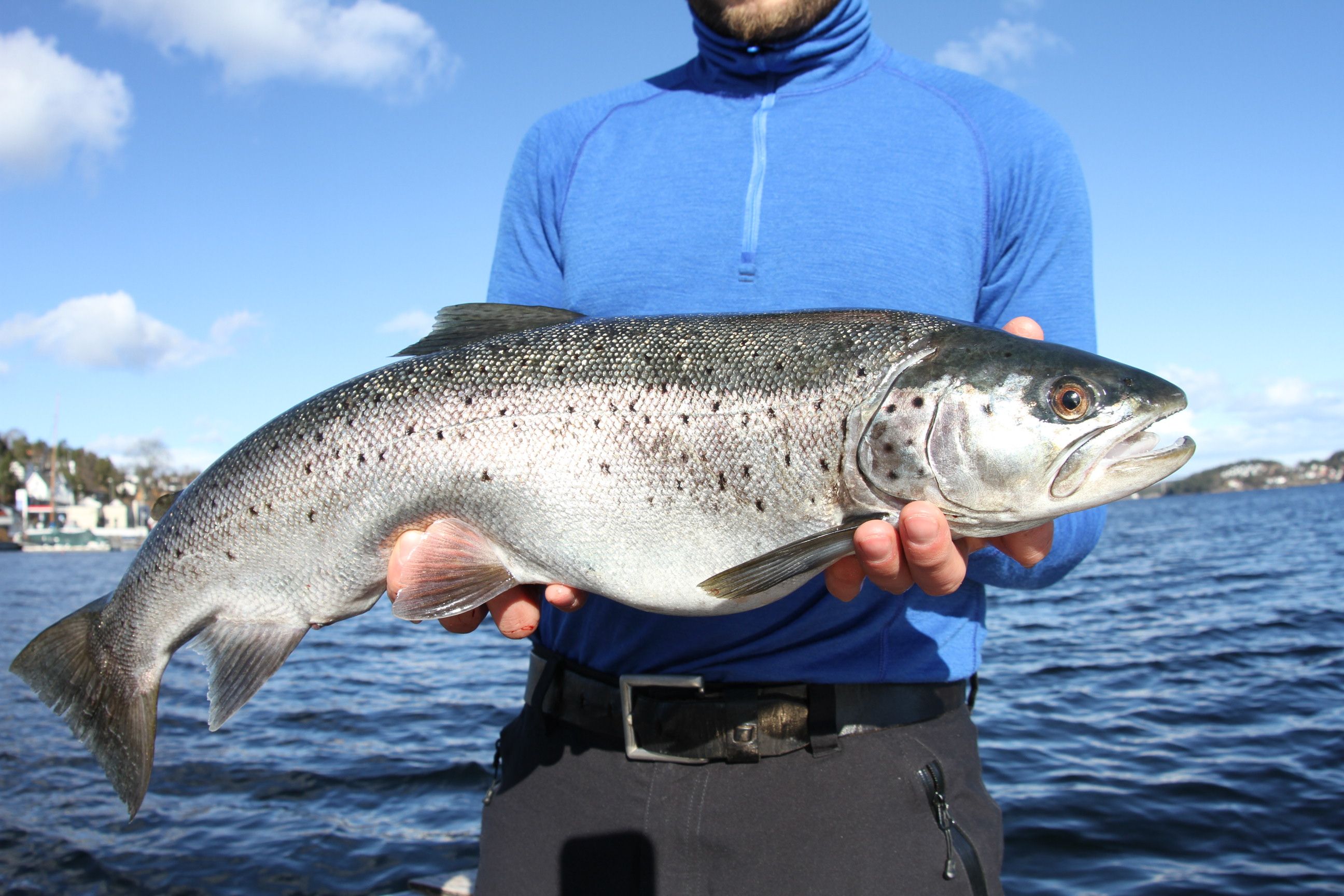 mann med stor fisk
