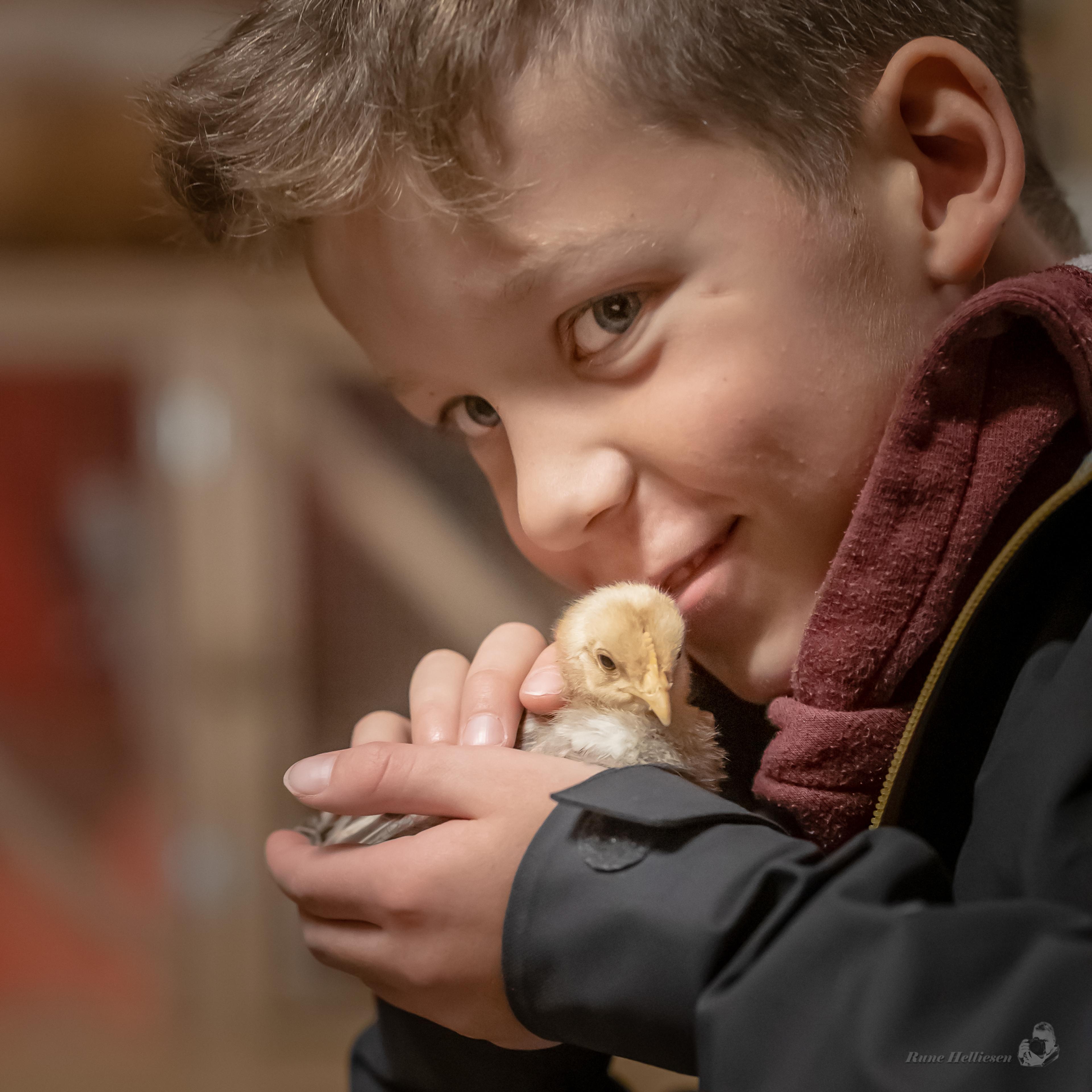 Vitengarden (science farm)