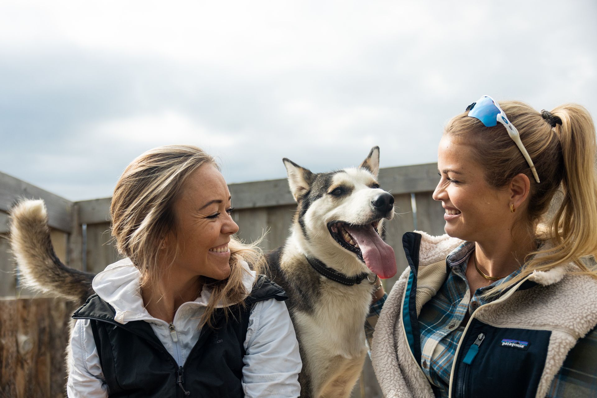 Husky meet and greet with Geilo Husky
